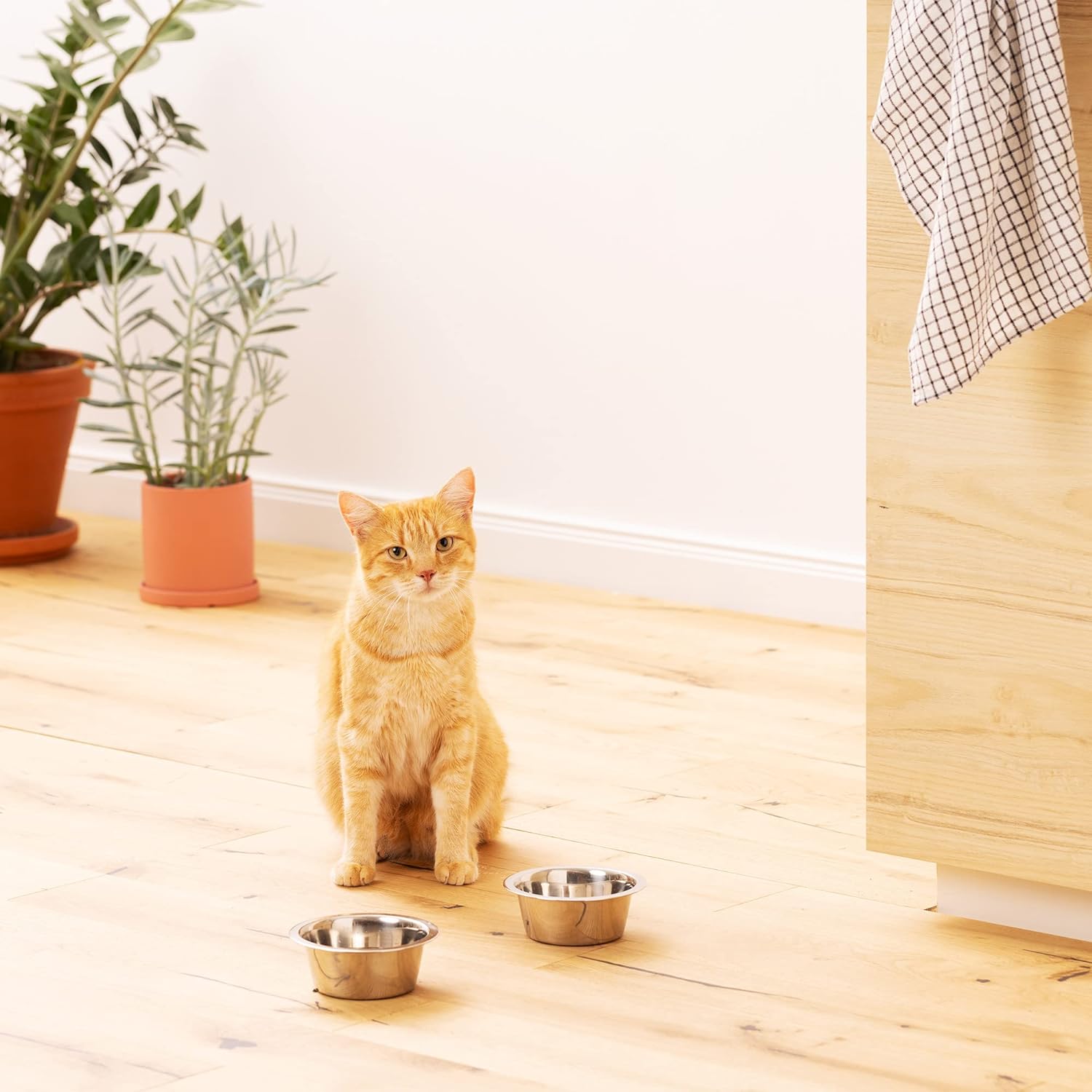 Navaris Σετ με 2 Ανταλλακτικά Μπολ Φαγητού και Νερού από Ανοξείδωτο Ατσάλι - 350 ml - Silver - 58405.01