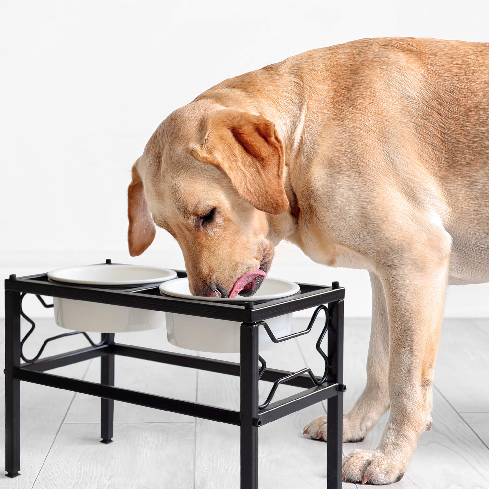 Navaris Ανυψωμένα Μπολ Φαγητού με Βάση για Σκύλους 750ml - White / Black - 54854.1