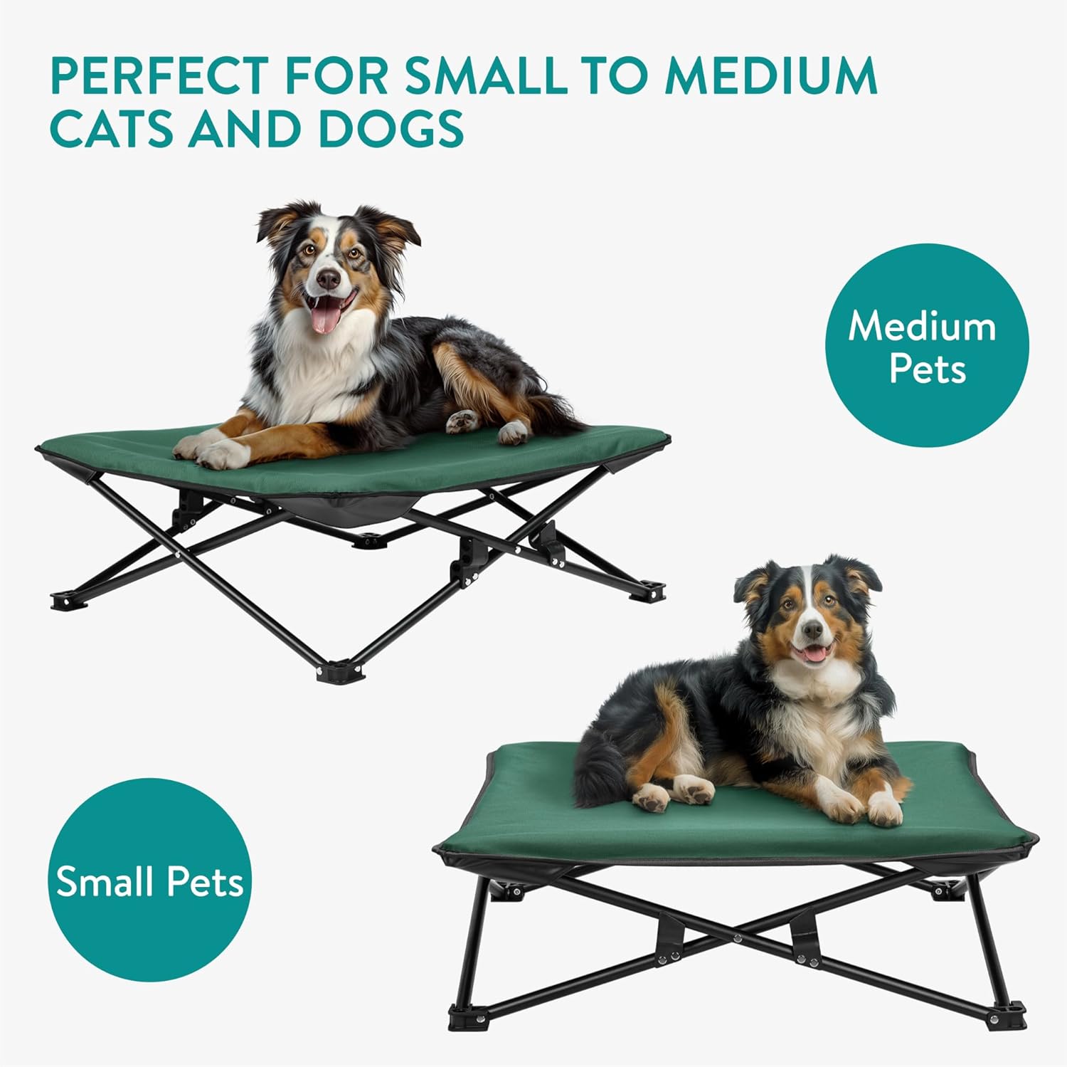 Navaris Ανυψωμένο Κρεβάτι για Μεσαίους Σκύλους με Τσάντα Μεταφοράς - Κατάλληλο για Σκύλους έως 15kg - Green