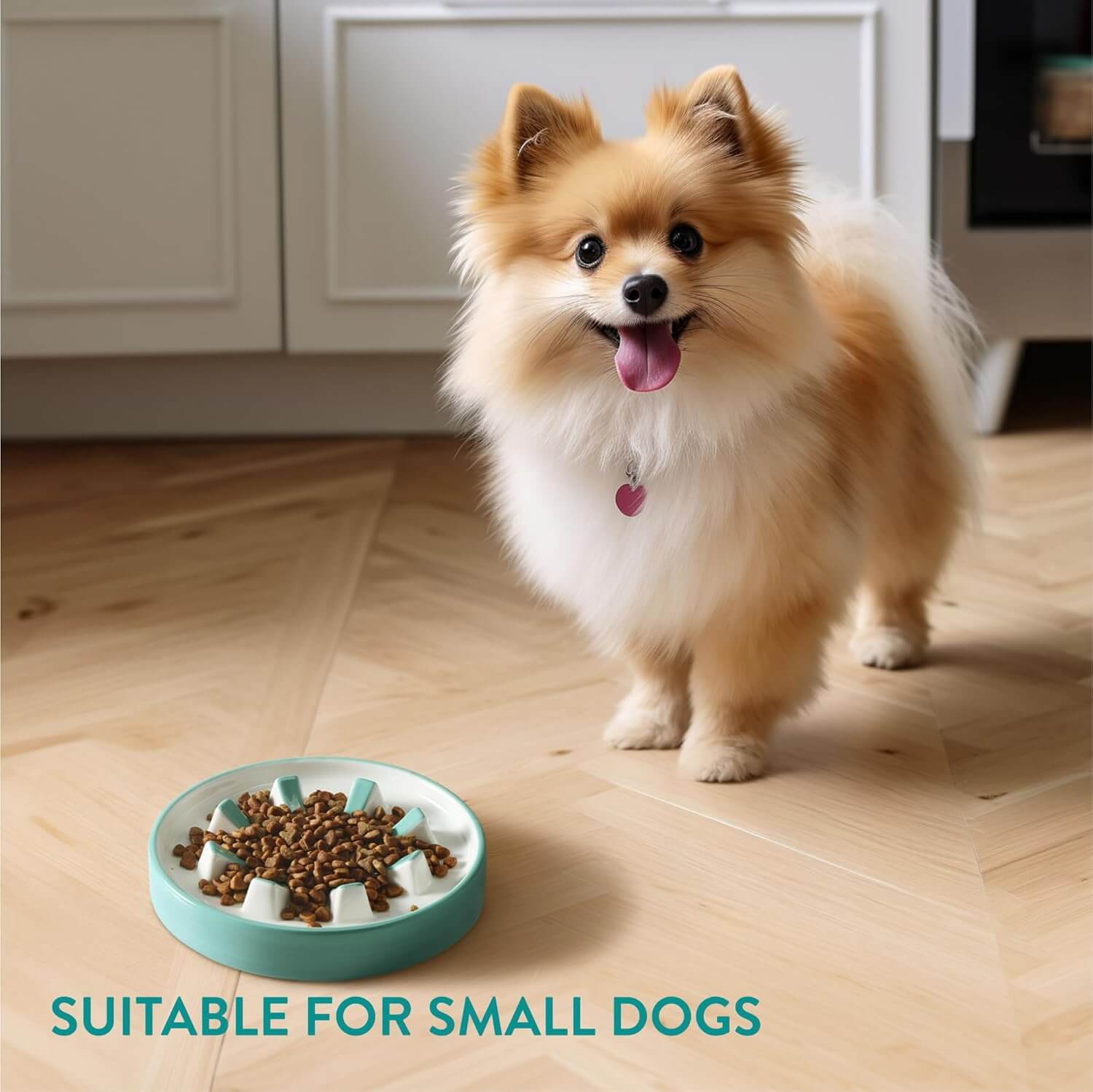 Navaris Κεραμικό Μπολ Φαγητού Αργής Κατάποσης για Κατοικίδια - Blue