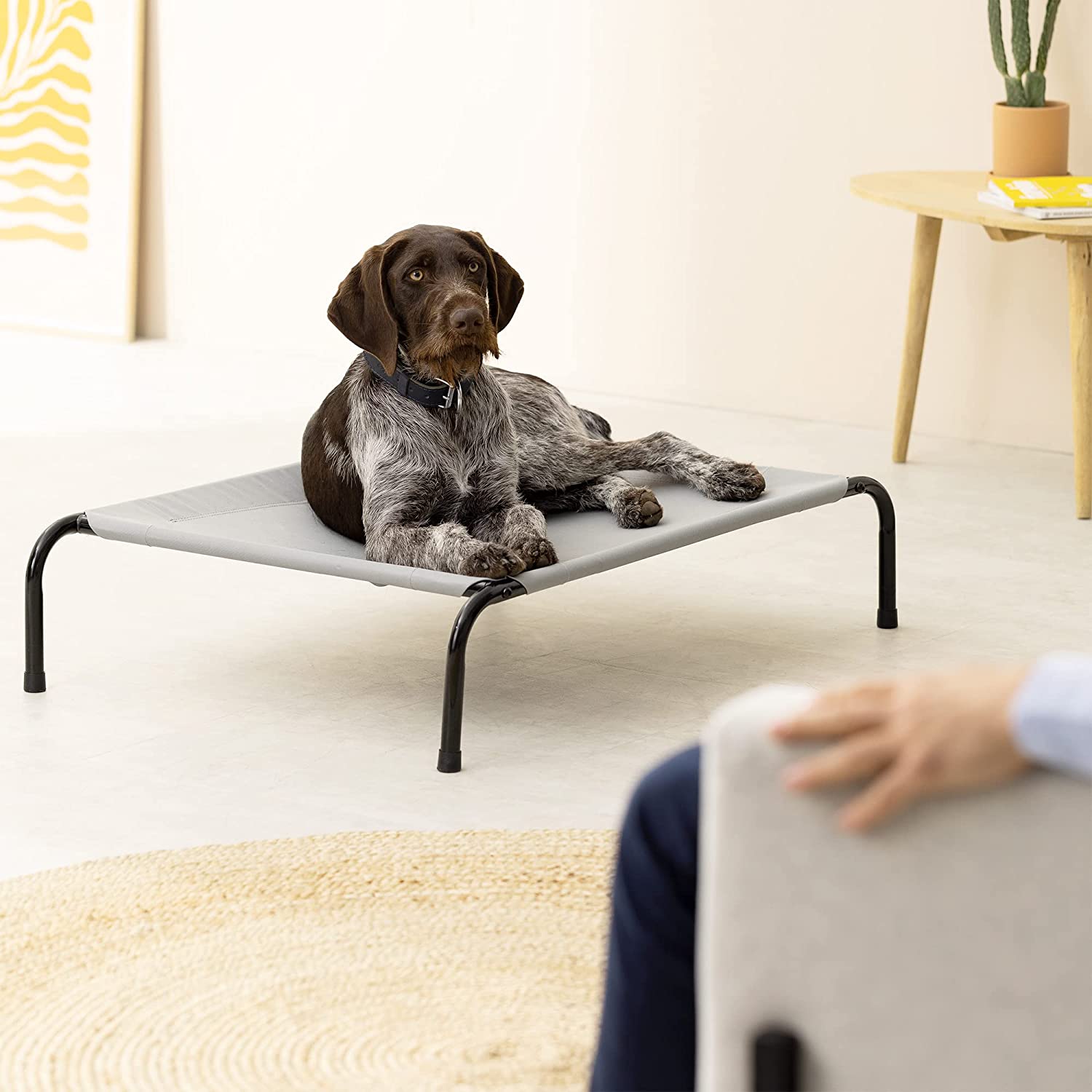 Navaris Ανυψωμένο Κρεβάτι για Μεσαίους ή Μεγάλους Σκύλους έως 25 κιλά - Light Grey - 56887.25.2