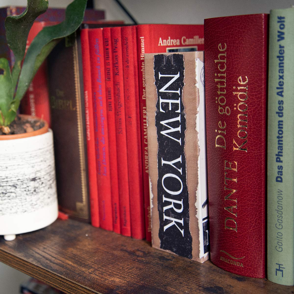 Προϊόν Navaris