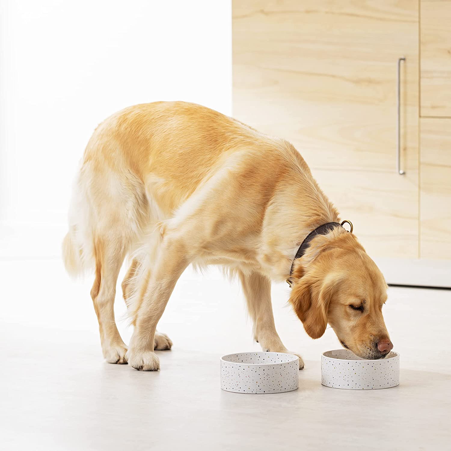 Navaris Σετ με 2 Κεραμικά Μπολ Φαγητού και Νερού για Κατοικίδια - White - 55231.02