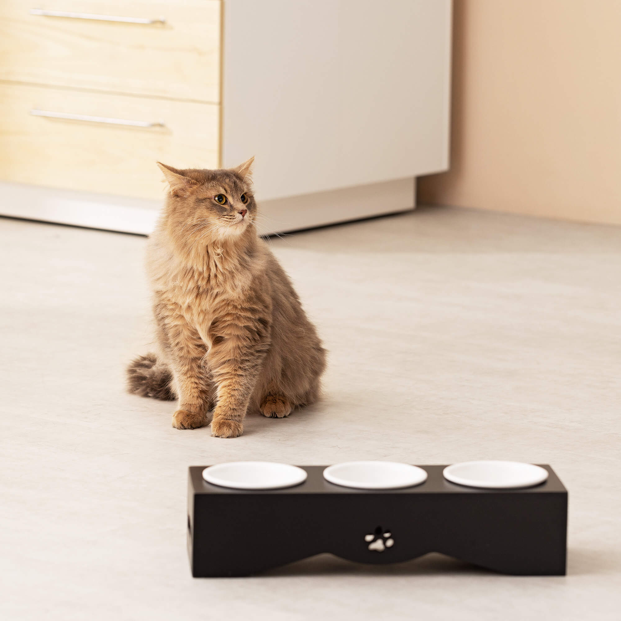 Navaris Raised Pet Bowls Stand - Ανυψωμένα Μπολ Φαγητού με Ξύλινη Βάση για Κατοικίδια 130ml - Black - 50174.47