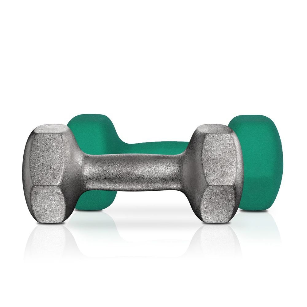 Songmics Σετ με 2 Βαράκια - 4 Kg - Green - SYL68GN