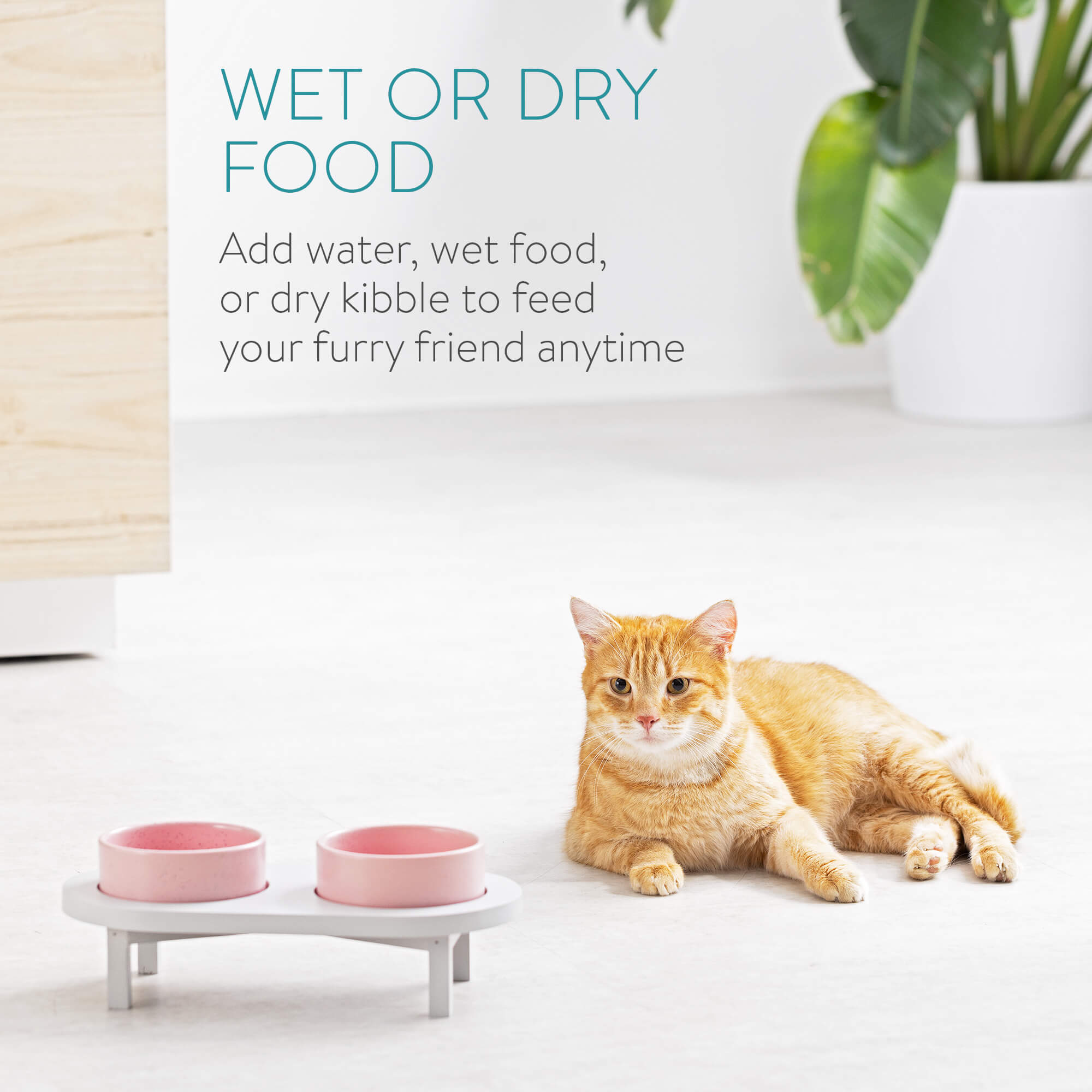 Navaris Ανυψωμένα Κεραμικά Μπολ Φαγητού με Ξύλινη Βάση για Κατοικίδια - 450ml - Pink - 56253.08