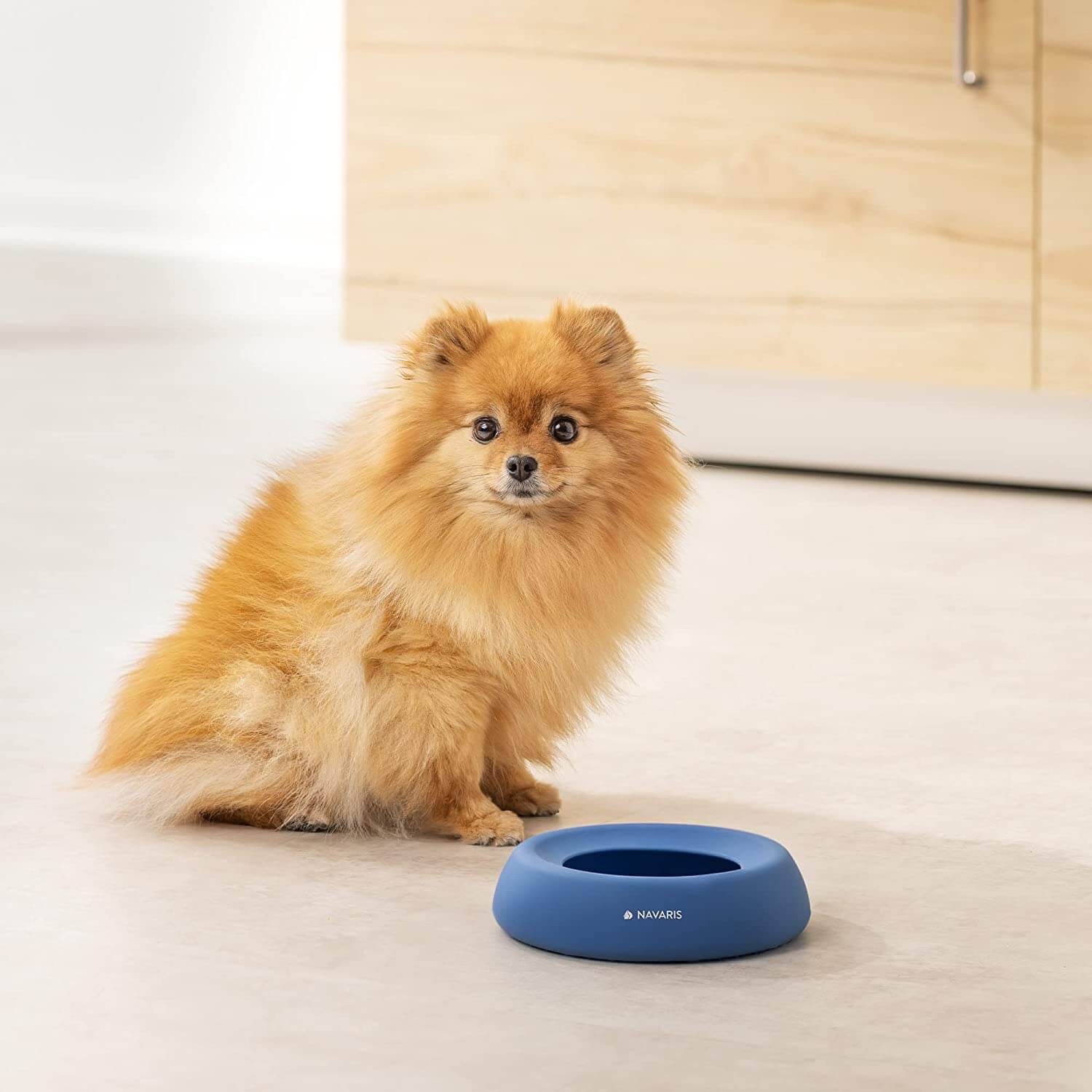 Navaris Μπολ Ταξιδιού για Σκύλους και Γάτες - Blue - 55861.04