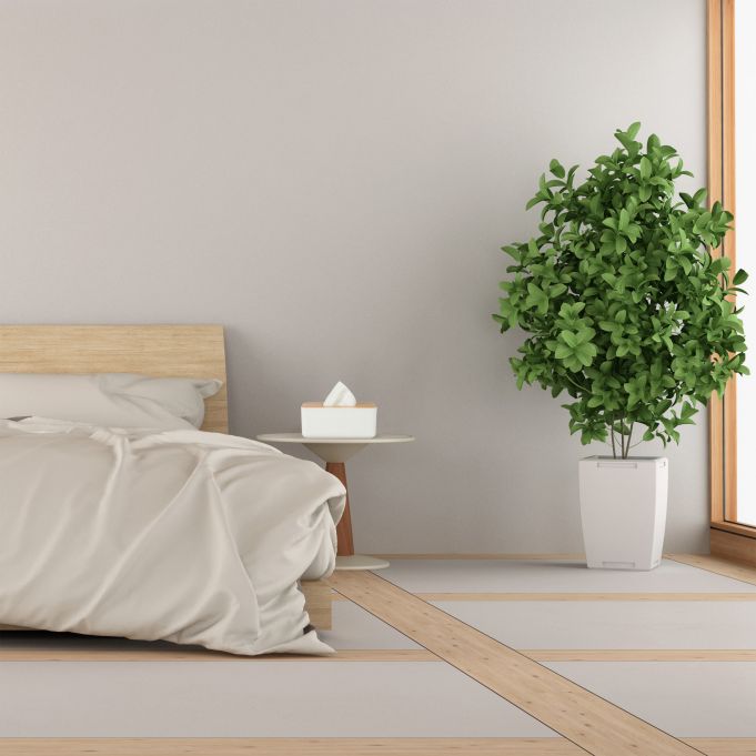 Relaxdays Κουτί Αποθήκευσης για Χαρτομάντηλα με Καπάκι από Μπαμπού - White / Natural - 4052025277437