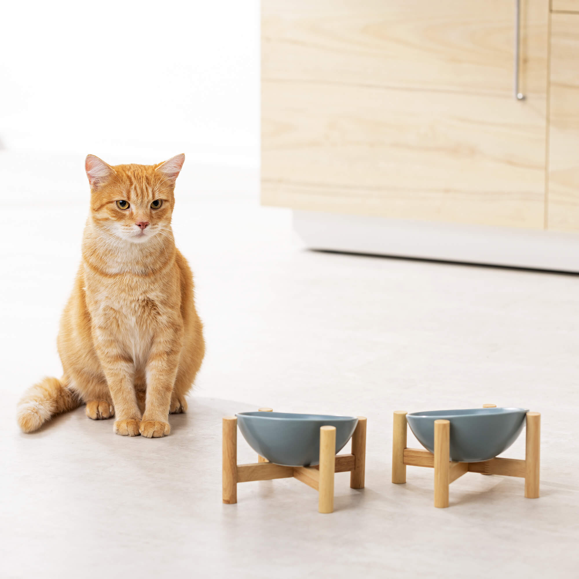 Navaris Σετ με 2 Μπολ Φαγητού και Νερού 300ml με Ξύλινη Βάση για Κατοικίδια - Blue / Light Brown - 56079.04