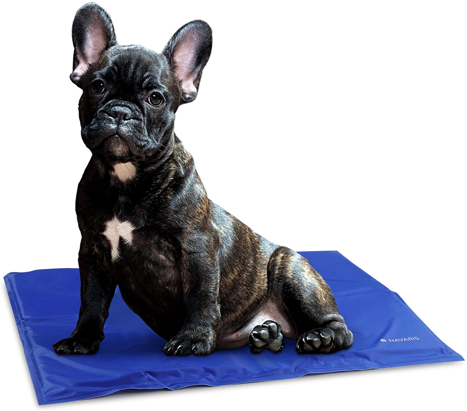 Navaris Pet Cooling Mat - Στρώμα Ψύξης για Κατοικίδια - 40 x 50 cm - Blue - 44251