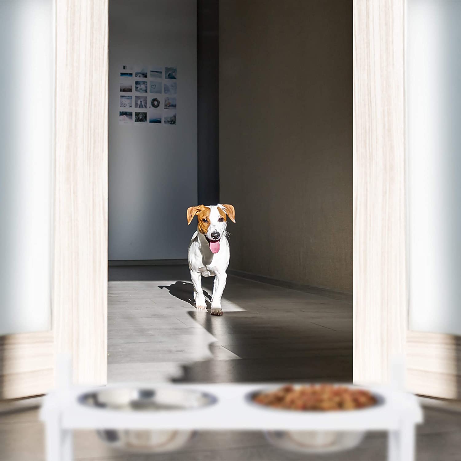 Relaxdays Ρυθμιζόμενη Ξύλινη Βάση με 2 Μπολ 1000ml από Ανοξείδωτο Ατσάλι - Large - 4052025923662