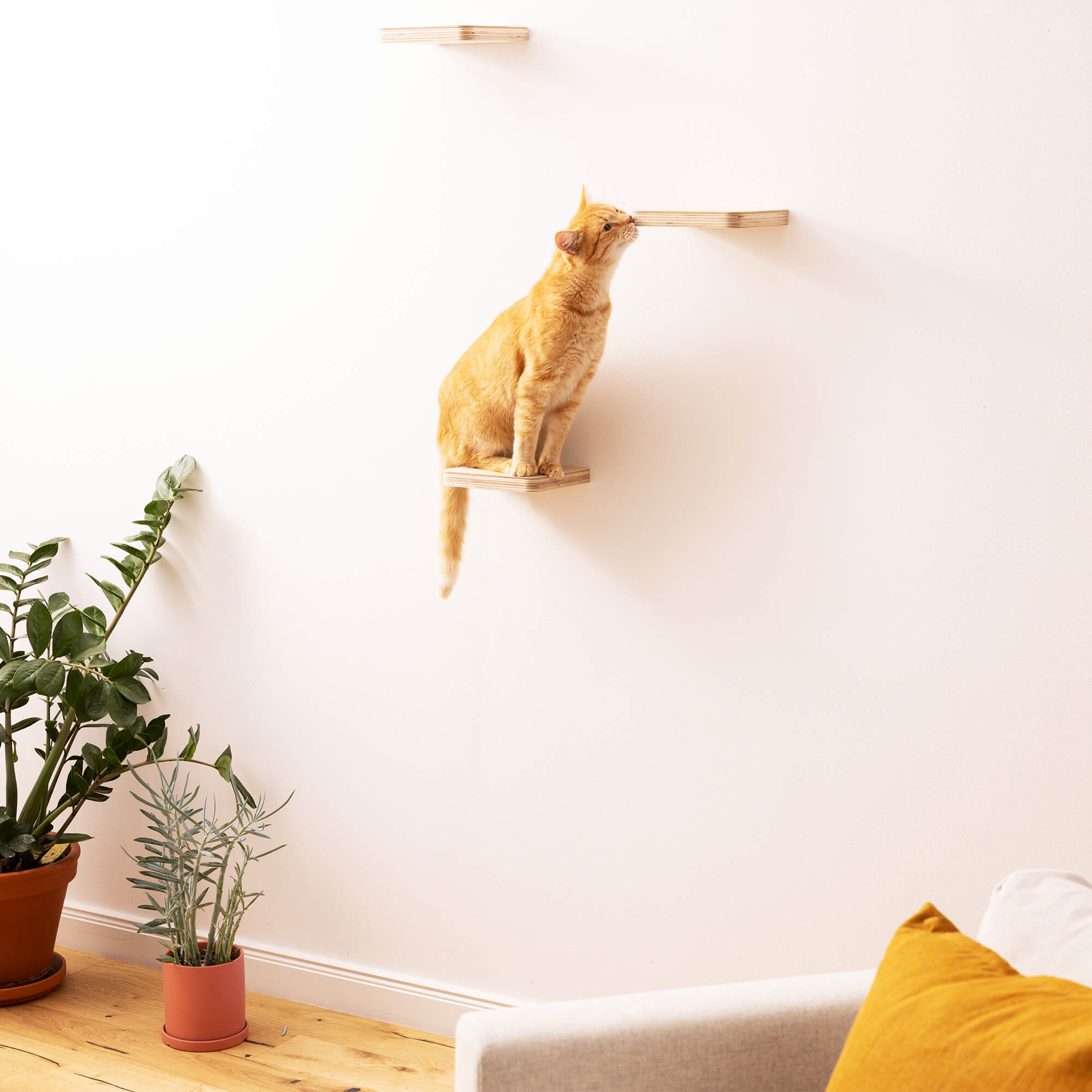 Navaris Επιτοίχια Σκαλοπάτια Αναρρίχησης για Γάτες - Beige - 59243.01