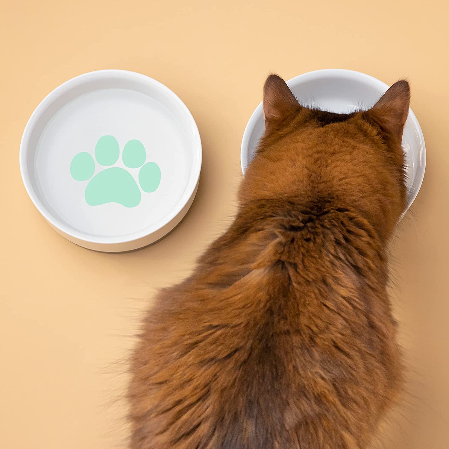 Navaris Σετ με 2 Μπολ Φαγητού και Νερού με Βάση από Σιλικόνη για Κατοικίδια - Light Green - 48520.02.07