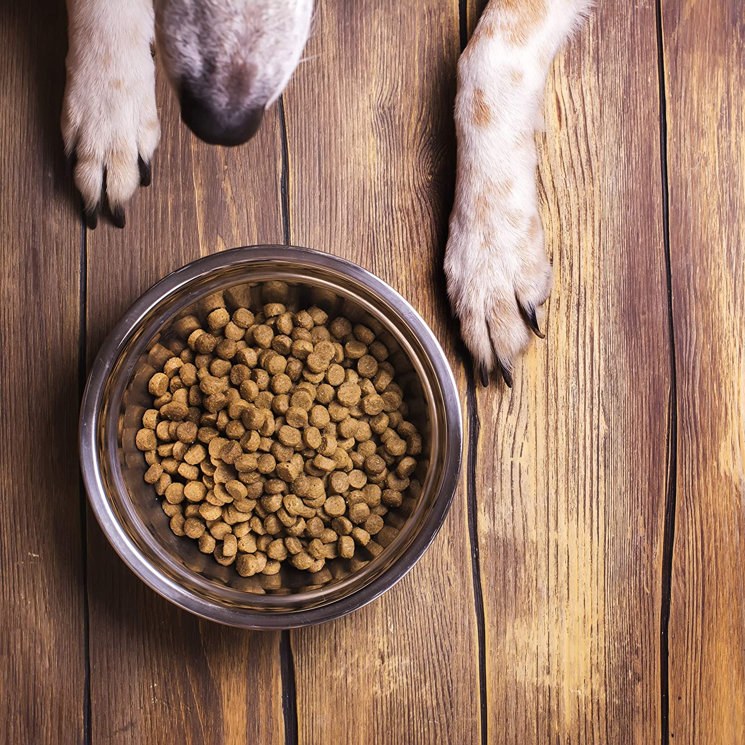 Relaxdays Σετ με 2 Μπολ για Κατοικίδια - 500 ml - Silver - 4052025947835