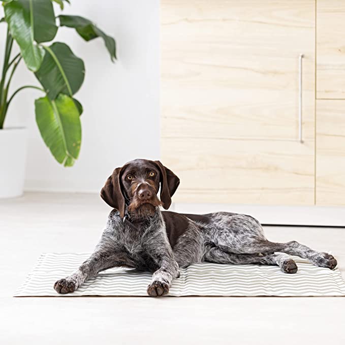 Navaris Pet Cooling Mat - Στρώμα Ψύξης για Κατοικίδια - Design Zig Zag - 96 x 81 x 5cm - Grey - 51184.3