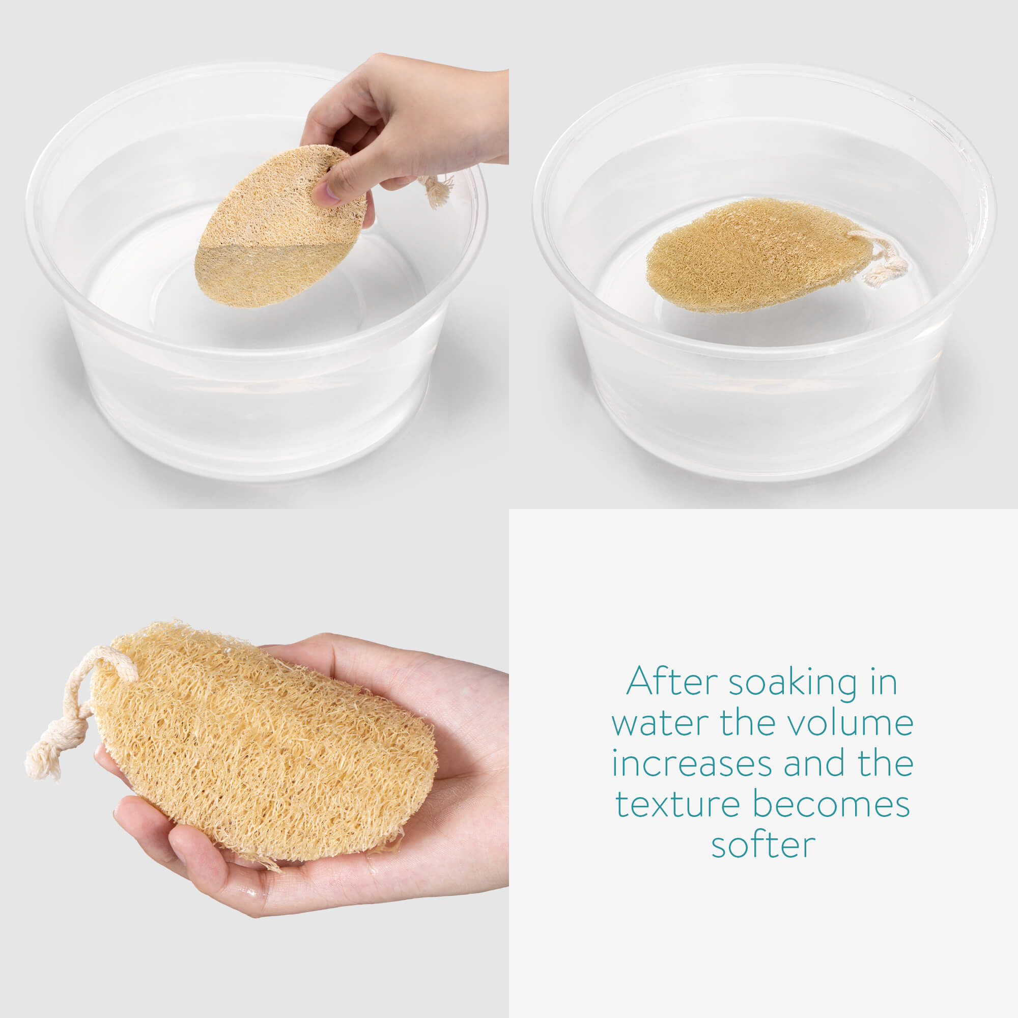 Navaris Σετ με 6 Σφουγγάρια Λούφας - Beige - 54522.01