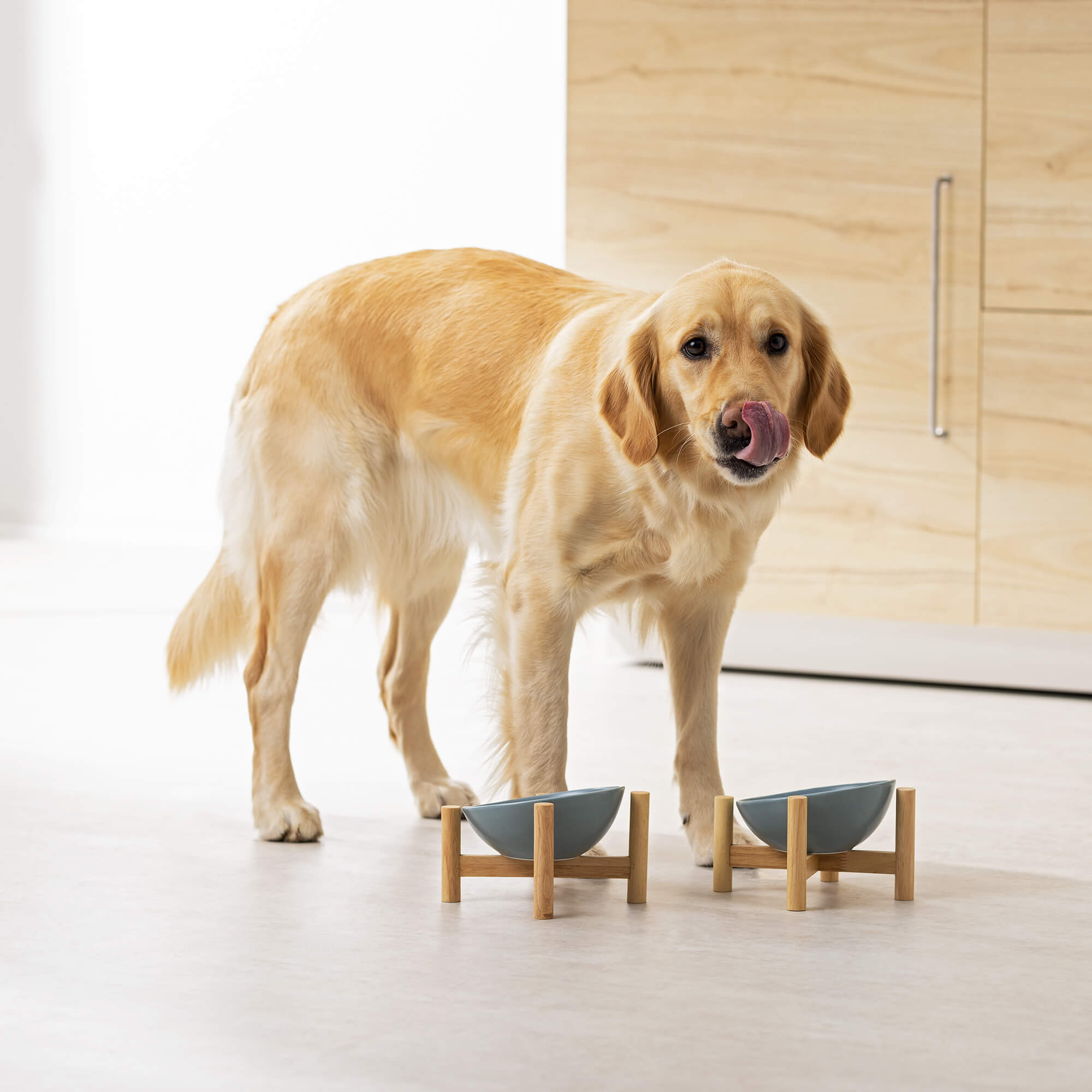 Navaris Σετ με 2 Μπολ Φαγητού και Νερού 300ml με Ξύλινη Βάση για Κατοικίδια - Blue / Light Brown - 56079.04