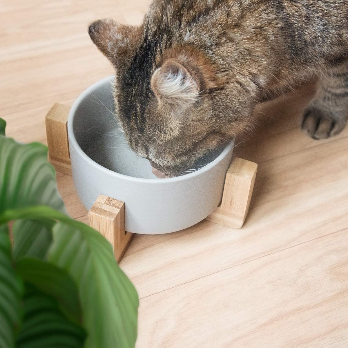 Navaris Cat Bowls with Wood Stands - Σετ με 2 Μπολ Φαγητού και Νερού 550ml με Βάση από Μπαμπού για Κατοικίδια - Grey / Brown - 48350.1.22