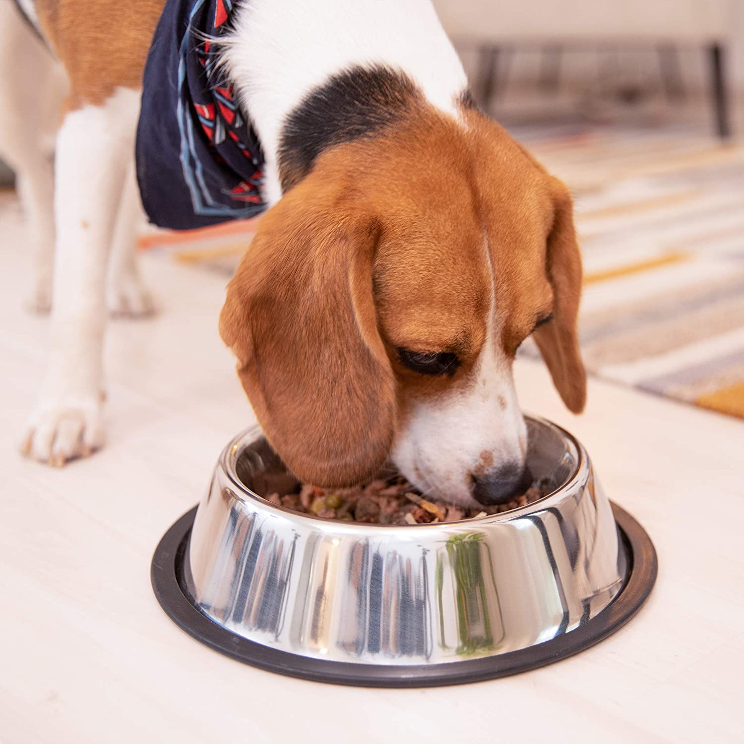 Relaxdays Σετ με 2 Μπολ για Κατοικίδια - 500 ml - Silver - 4052025947835