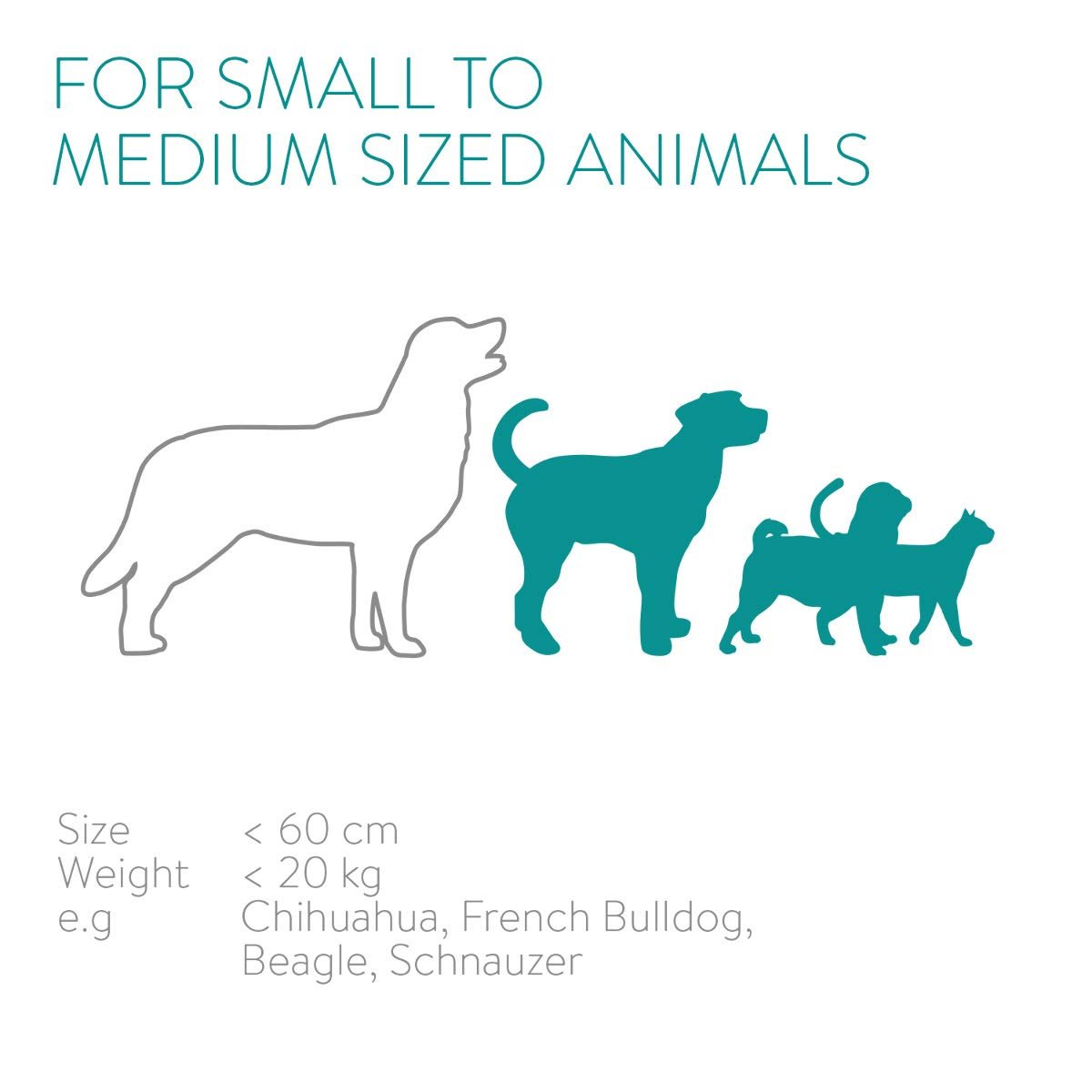 Navaris Stainless Steel Pet Bowls - Σετ με 2 Μπολ Φαγητού και Νερού με Βάση για Κατοικίδια - Silver / Copper - 46741.1.02