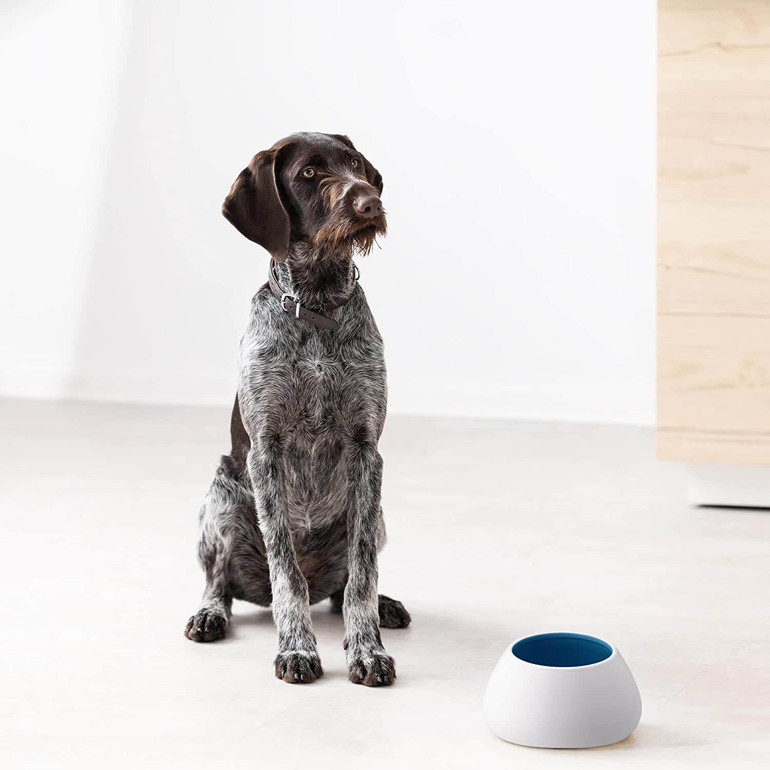 Navaris Κεραμικό Μπολ Φαγητού και Νερού για Κατοικίδια - 1.9L - White / Blue - 56612.04