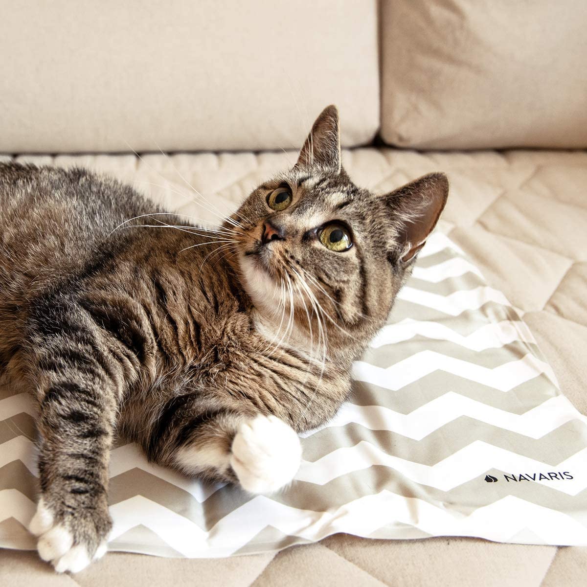 Navaris Pet Cooling Mat - Στρώμα Ψύξης για Κατοικίδια - Design Zig Zag - Grey - 51184.2