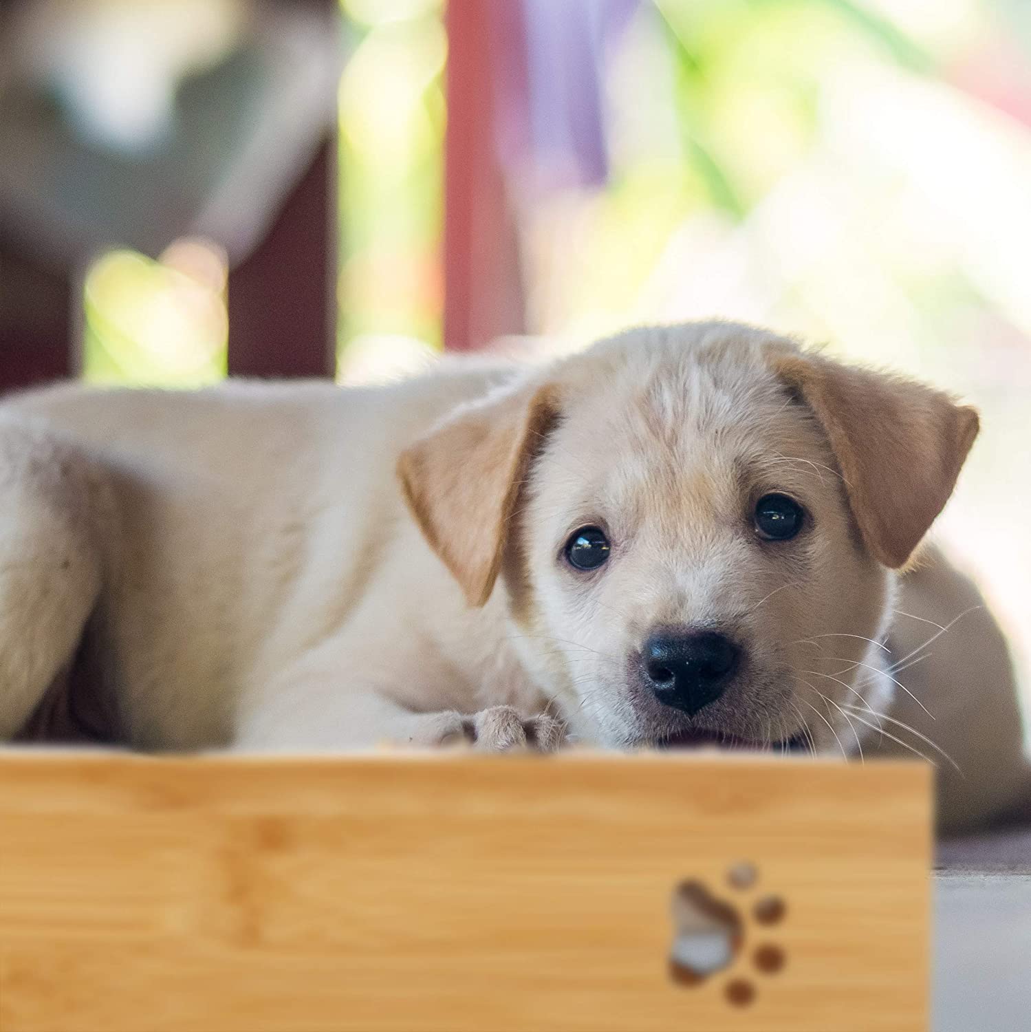 Relaxdays Ξύλινη Βάση από Μπαμπού με 2 Μπολ 300ml από Ανοξείδωτο Ατσάλι - Natural / Silver - 4052025288594