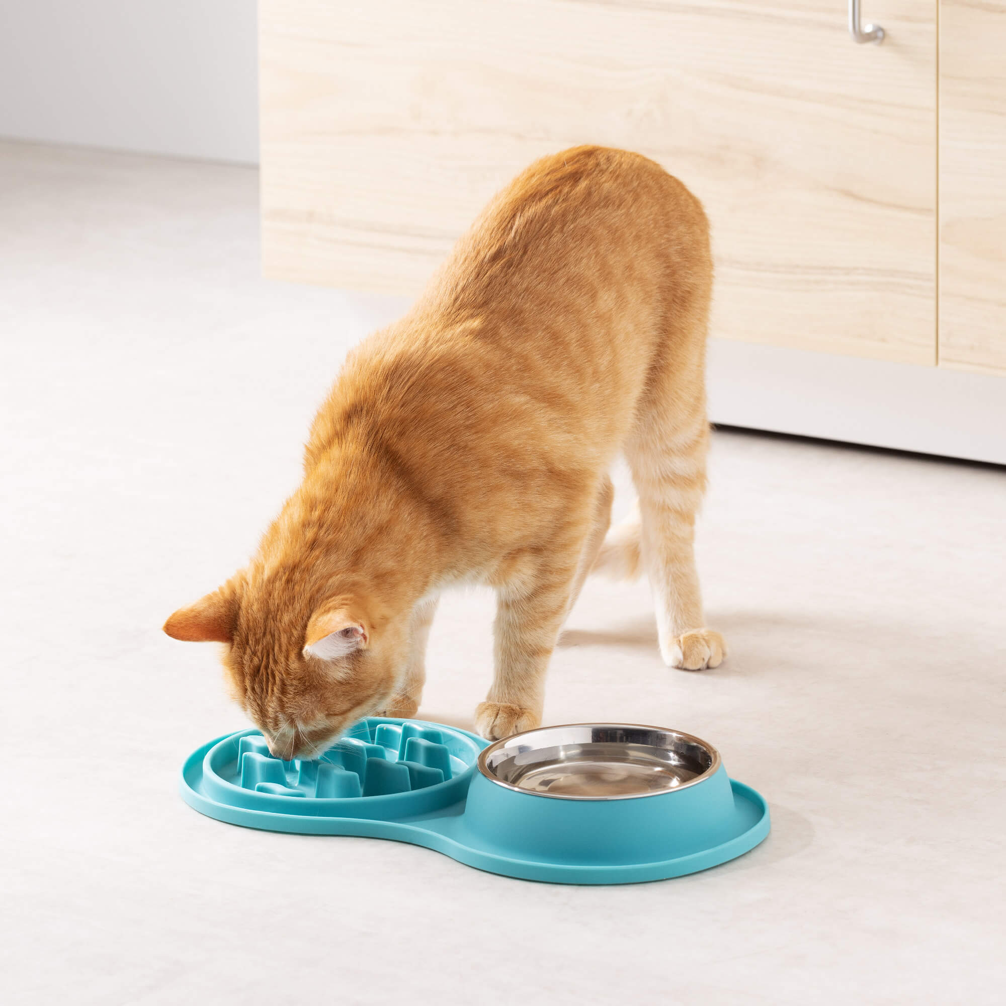 Navaris Slow-Feeder Μπολ Αργής Κατάποσης από Σιλικόνη - Turquoise - 55134.37