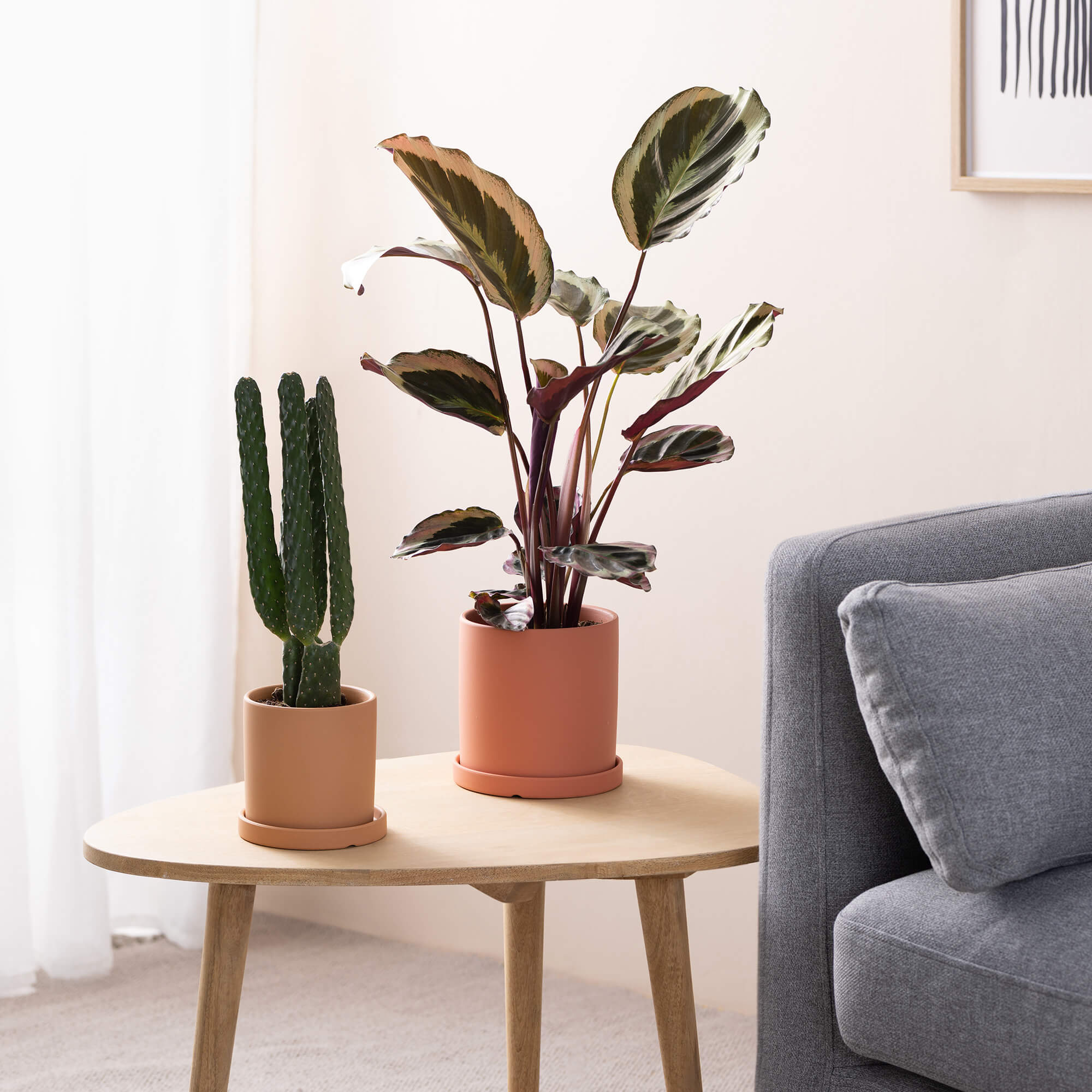 Navaris Σετ με 2 Κεραμικές Γλάστρες - Small and Medium - Red - 56332.1.09