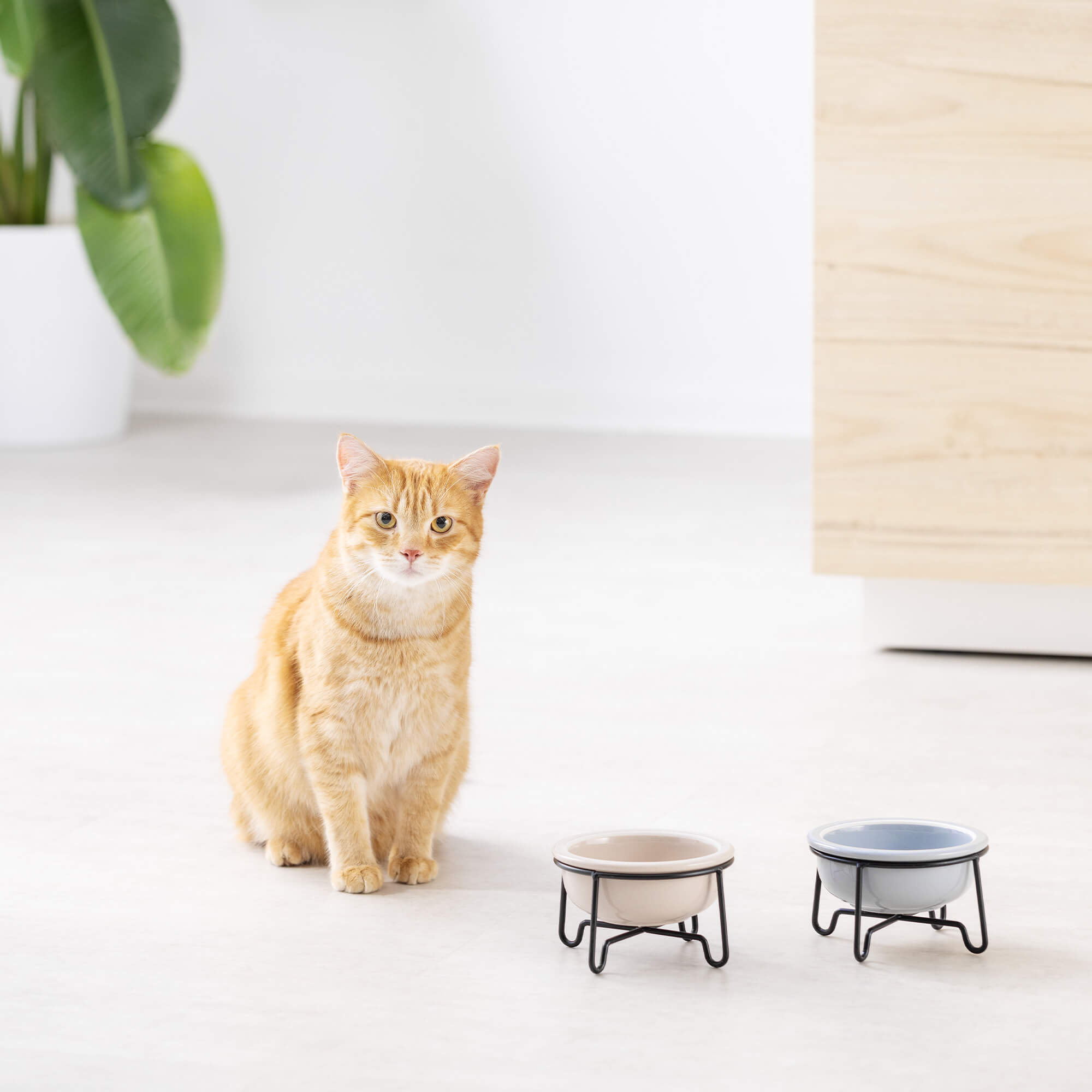 Navaris Σετ με 2 Κεραμικά Μπολ Φαγητού και Νερού με Μεταλλική Βάση για Κατοικίδια - 380ml - Beige / Grey - Black - 55724.11