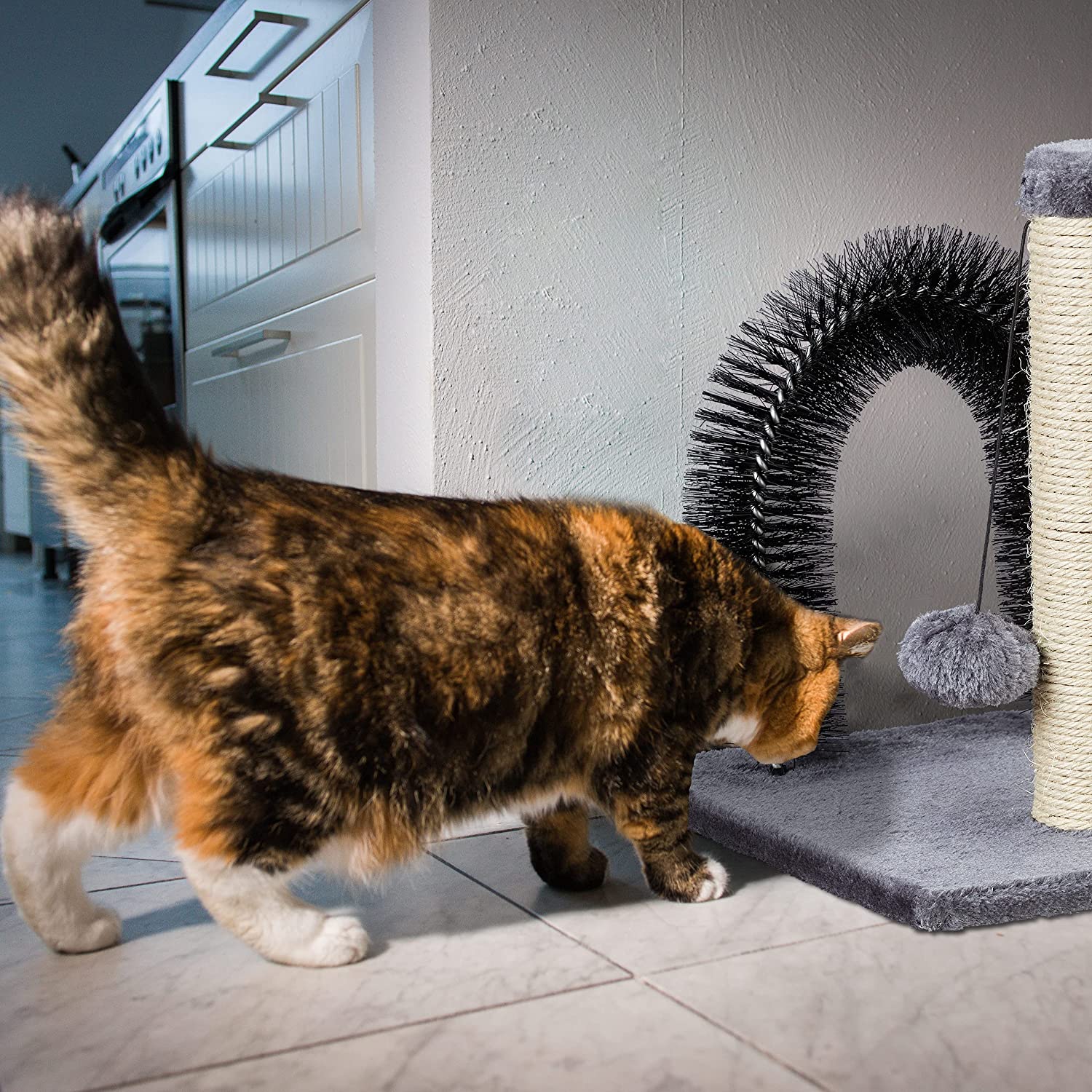 Relaxdays Ονυχοδρόμιο για Γάτες με Καμάρα για Μασάζ και Παιχνίδι - 37 x 30 x 30 cm - 4052025308117