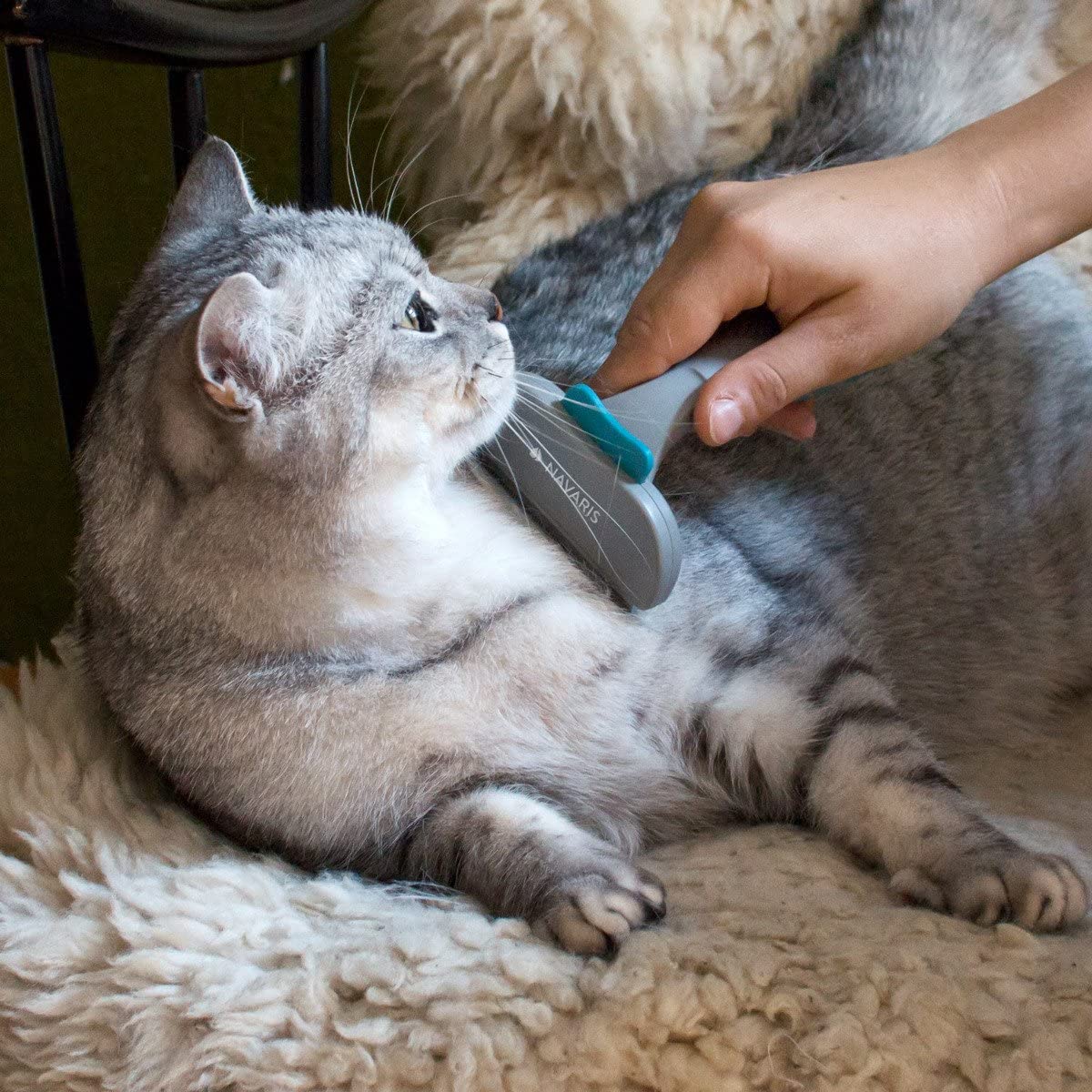 Navaris Χτένα για Κατοικίδια - Grey / Turquoise - 44331