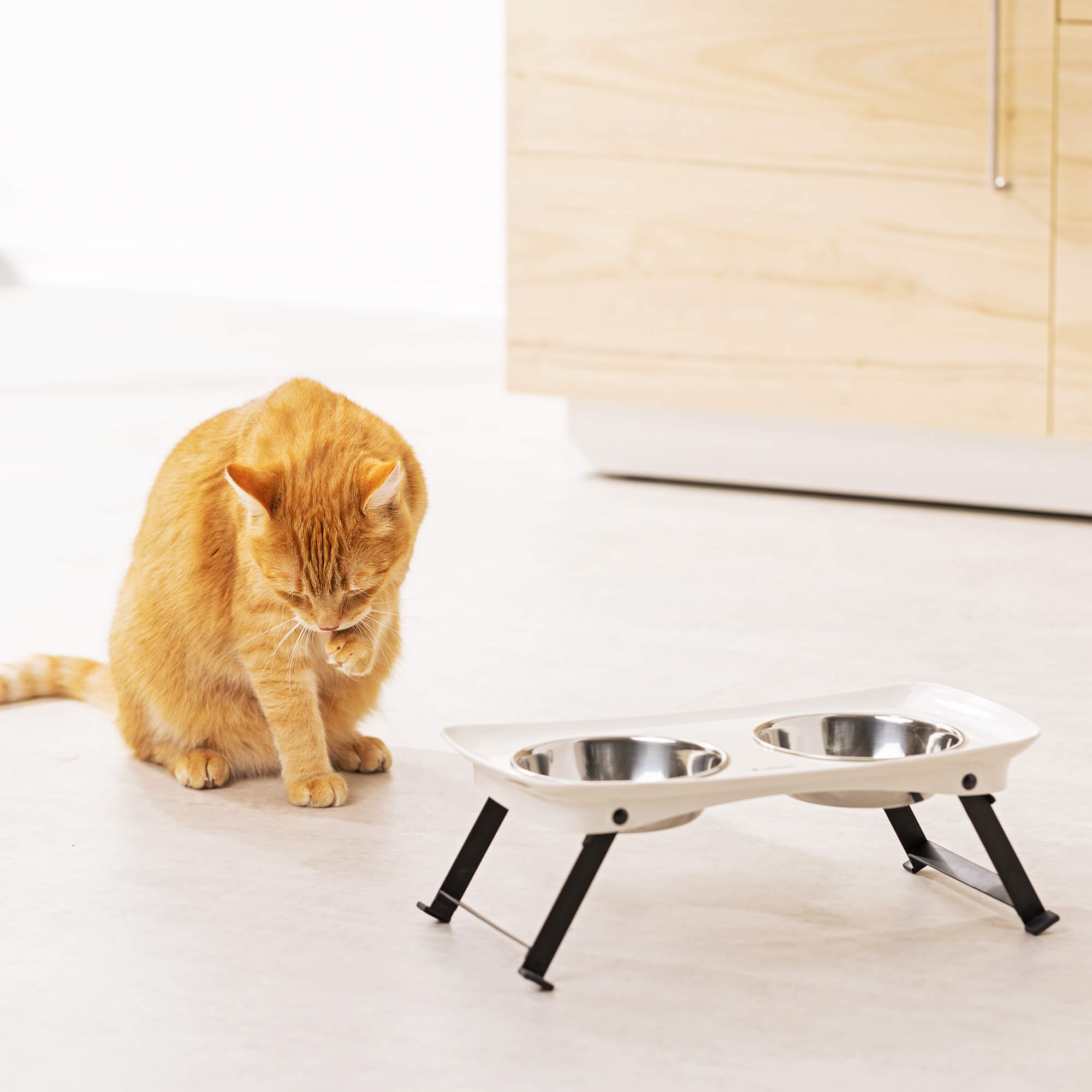 Navaris Αναδιπλούμενο Σταντ με 2 Μπολ για Νερό και Τροφή για Κατοικίδια - 350 ml - Beige / Black - 55860.02