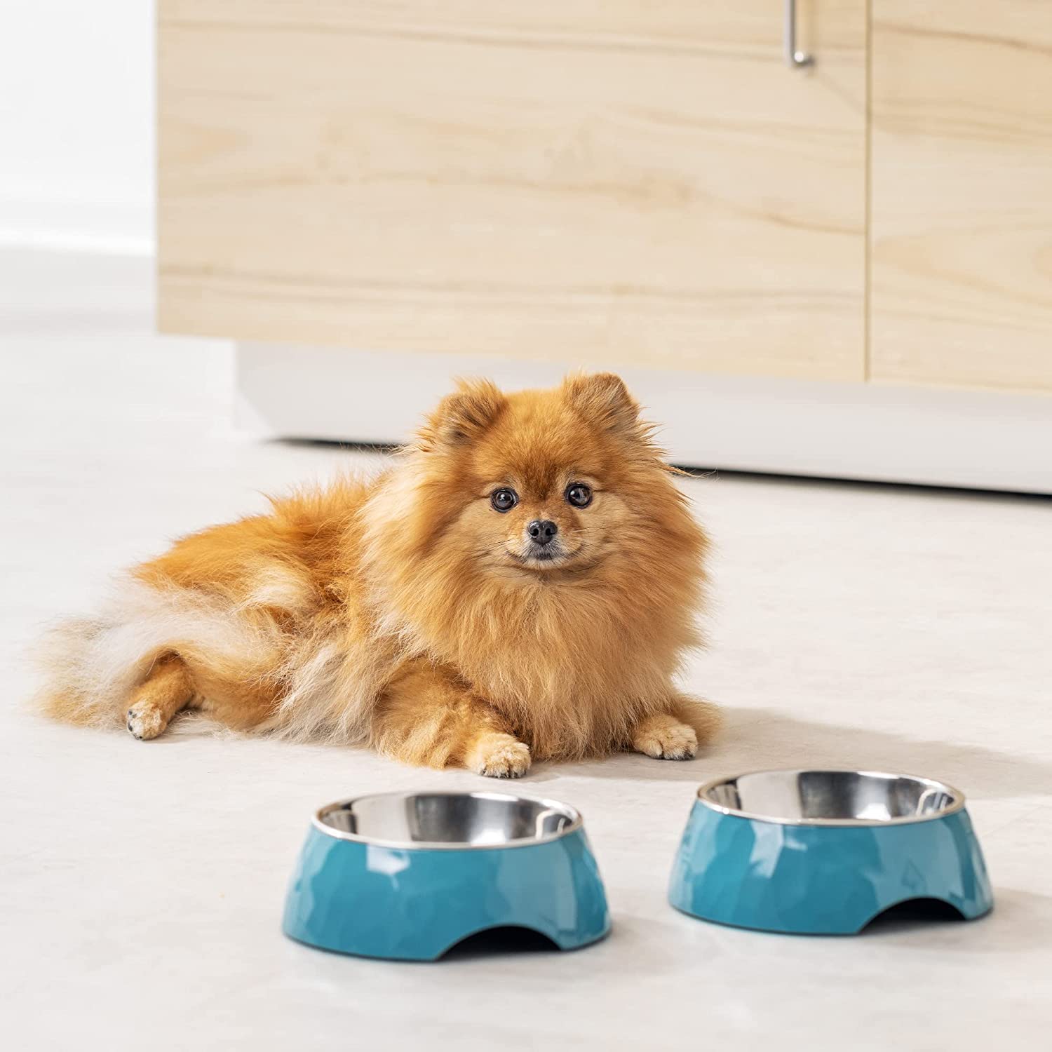 Navaris Σετ με 2 Μπολ για Κατοικίδια - Blue - 55862.1.04