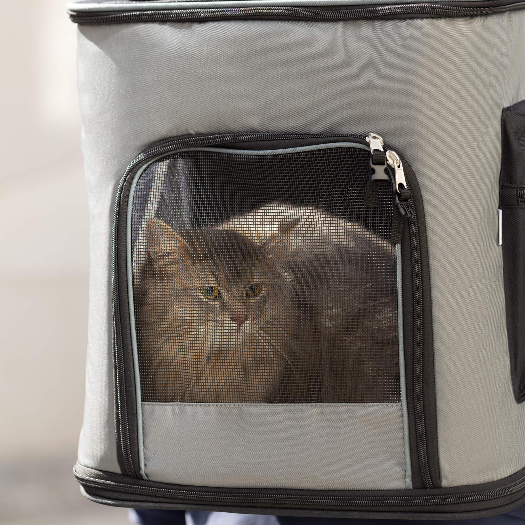 Navaris Dog Carrier Backpack - Αναδιπλούμενο Σακίδιο Μεταφοράς για Κατοικίδια Ζώα - 41 x 34,5 x 43 cm - Grey - 47550.19