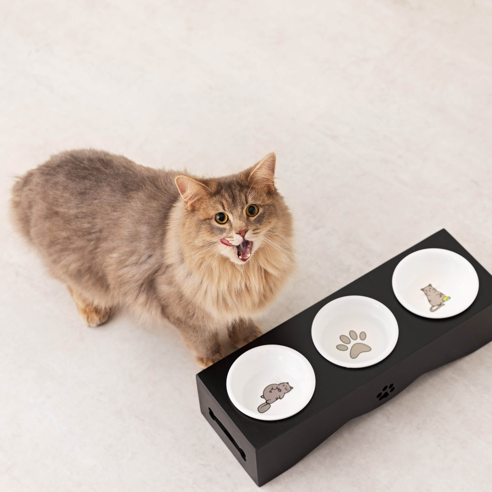 Navaris Raised Pet Bowls Stand - Ανυψωμένα Μπολ Φαγητού με Ξύλινη Βάση για Κατοικίδια 130ml - Black - 50174.47