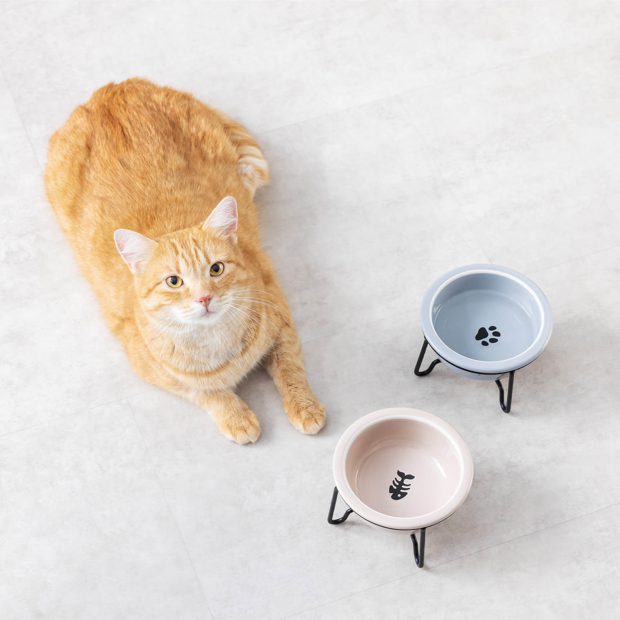 Navaris Σετ με 2 Κεραμικά Μπολ Φαγητού και Νερού με Μεταλλική Βάση για Κατοικίδια - 380ml - Beige / Grey - Black - 55724.11