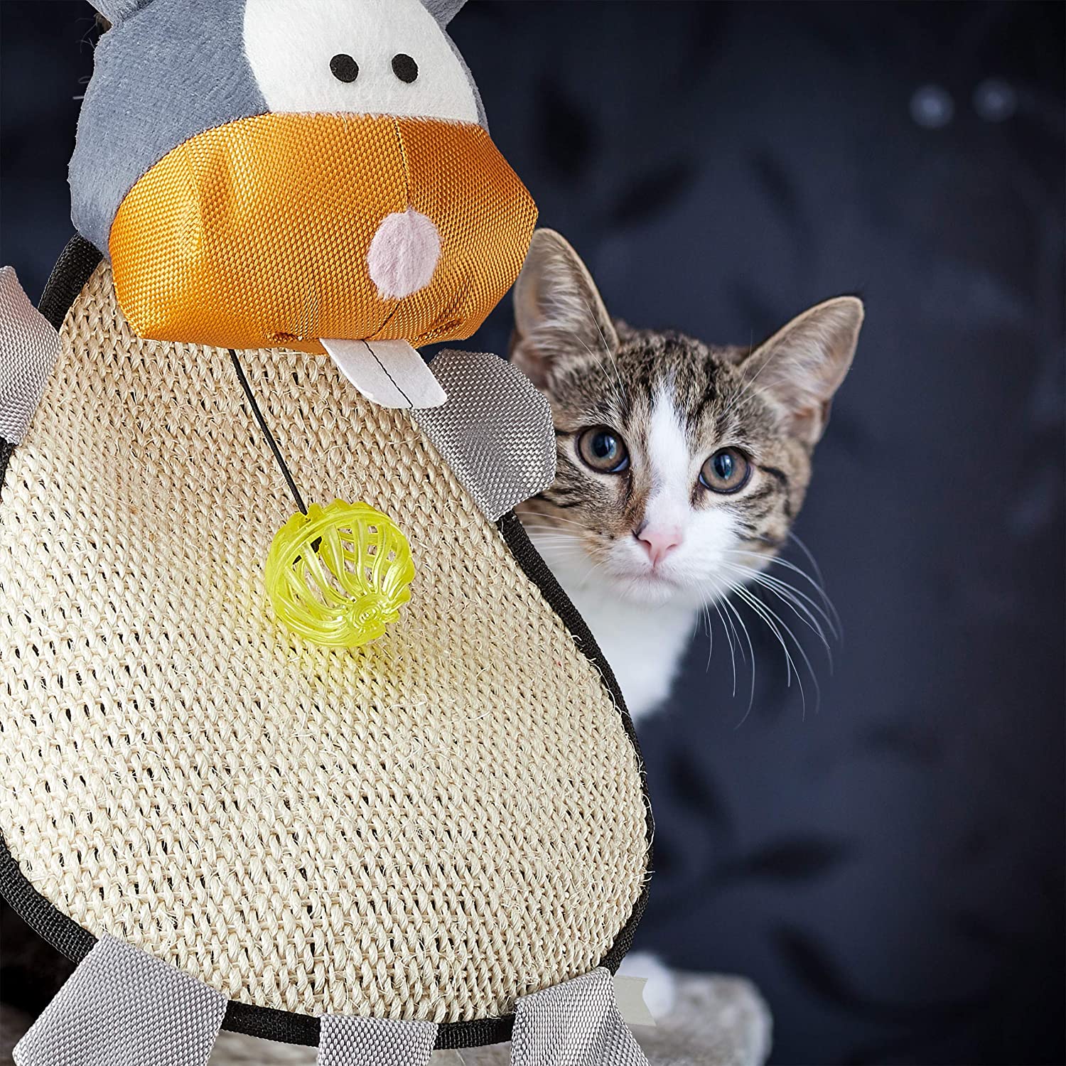 Relaxdays Ονυχοδρόμιο με Μπαλάκι για Γάτες - 55 x 22 x 10 cm - Colorful - 4052025239398