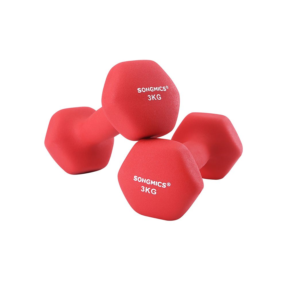 Songmics Σετ με 2 Βαράκια - 3 Kg - Red - SYL66RD