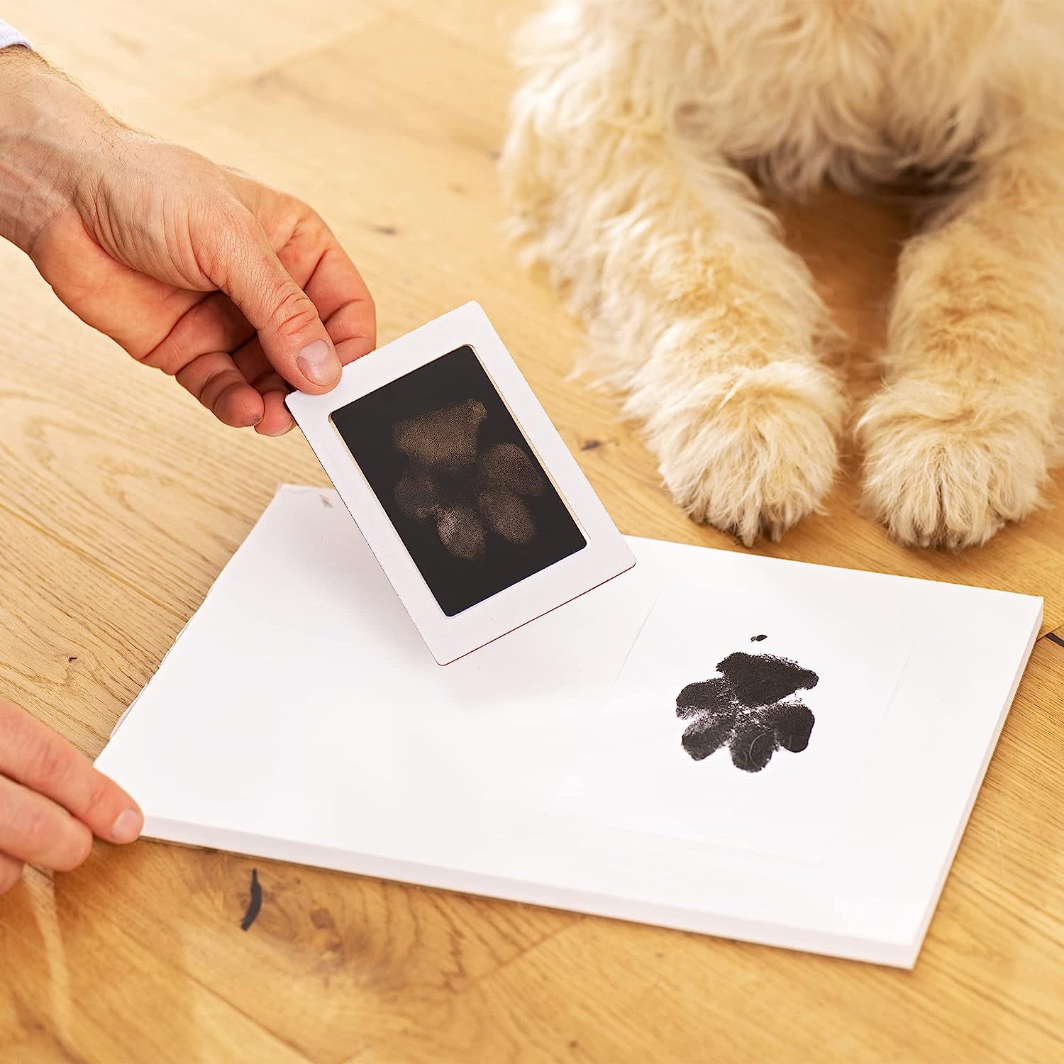 Navaris Κορνίζα για Αποτύπωμα Κατοικίδιου με Χώρο για 2 Φωτογραφίες - 22 x 22,6 x 12 cm - Black - 60544.01