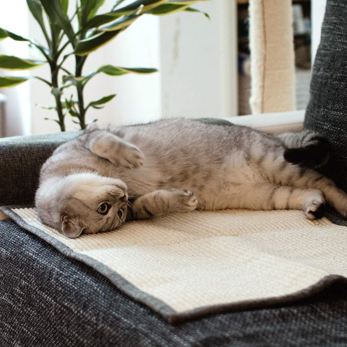 Navaris Cat Scratch Mat Sofa Shield - Προστατευτικό Καναπέ από Γρατζουνιές Γάτας - 130 x 45 cm - Light Grey - White - 45105.25.02