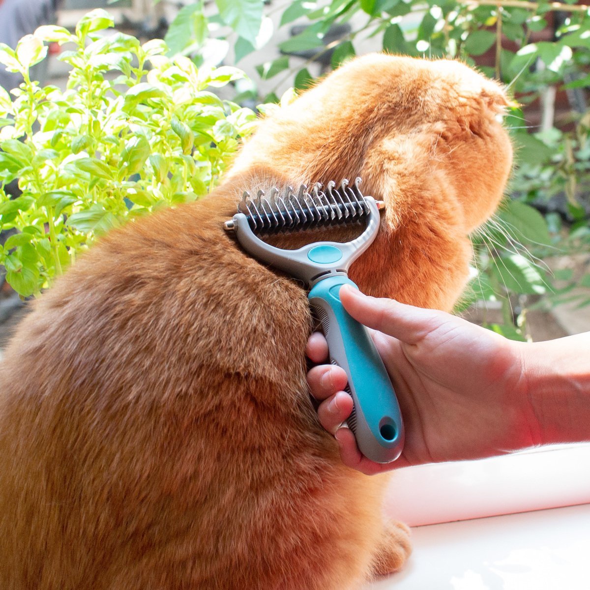 Navaris Pet Fur Dematting Comb Χτένα για Κατοικίδια - Grey / Teal - 44332
