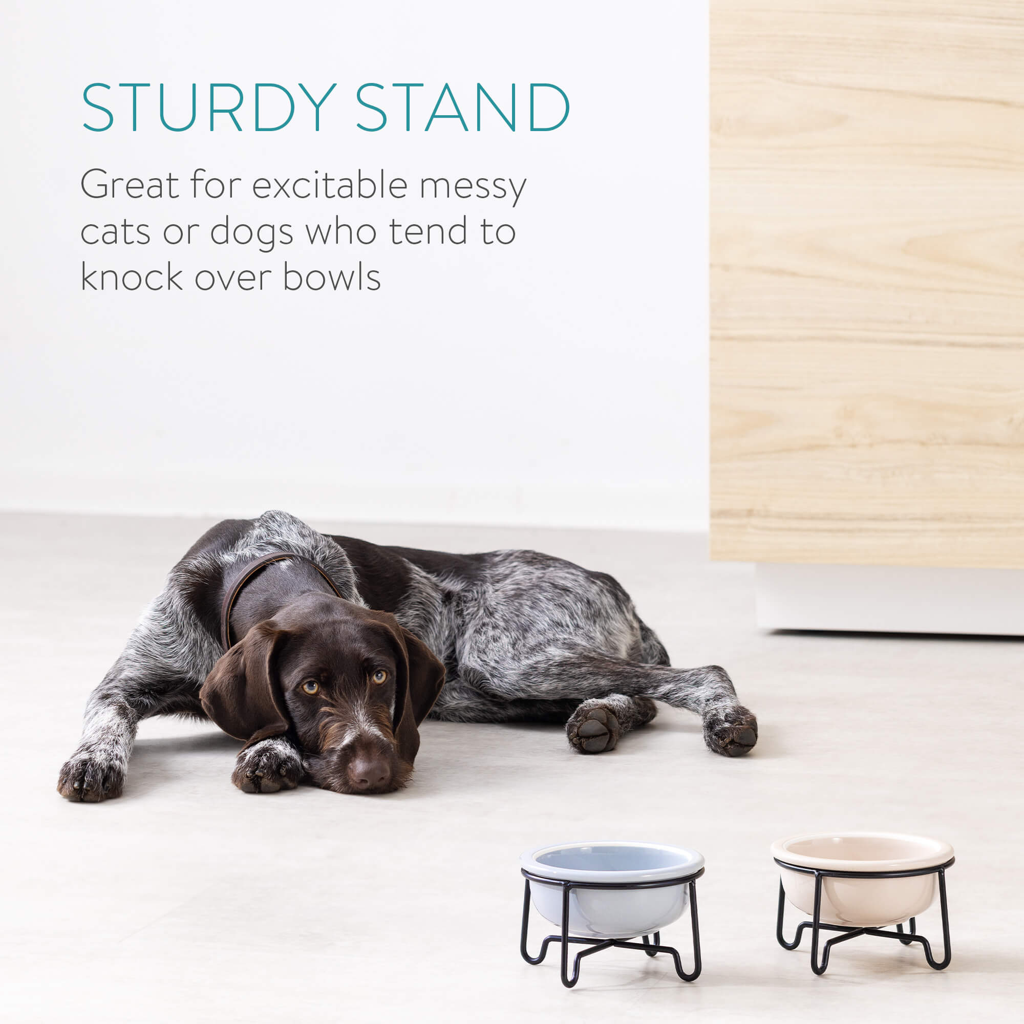 Navaris Σετ με 2 Κεραμικά Μπολ Φαγητού και Νερού με Μεταλλική Βάση για Κατοικίδια - 380ml - Beige / Grey - Black - 55724.11