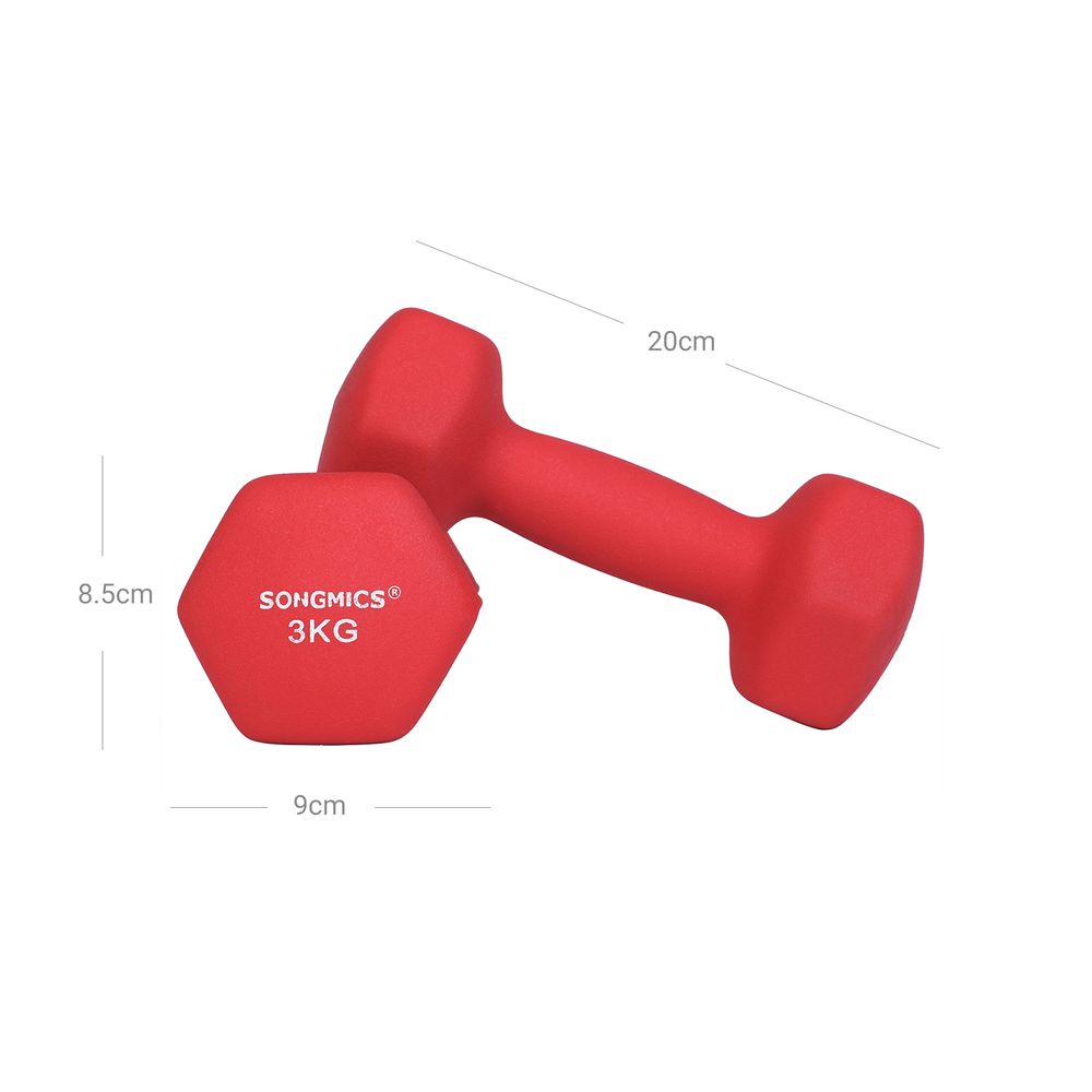 Songmics Σετ με 2 Βαράκια - 3 Kg - Red - SYL66RD