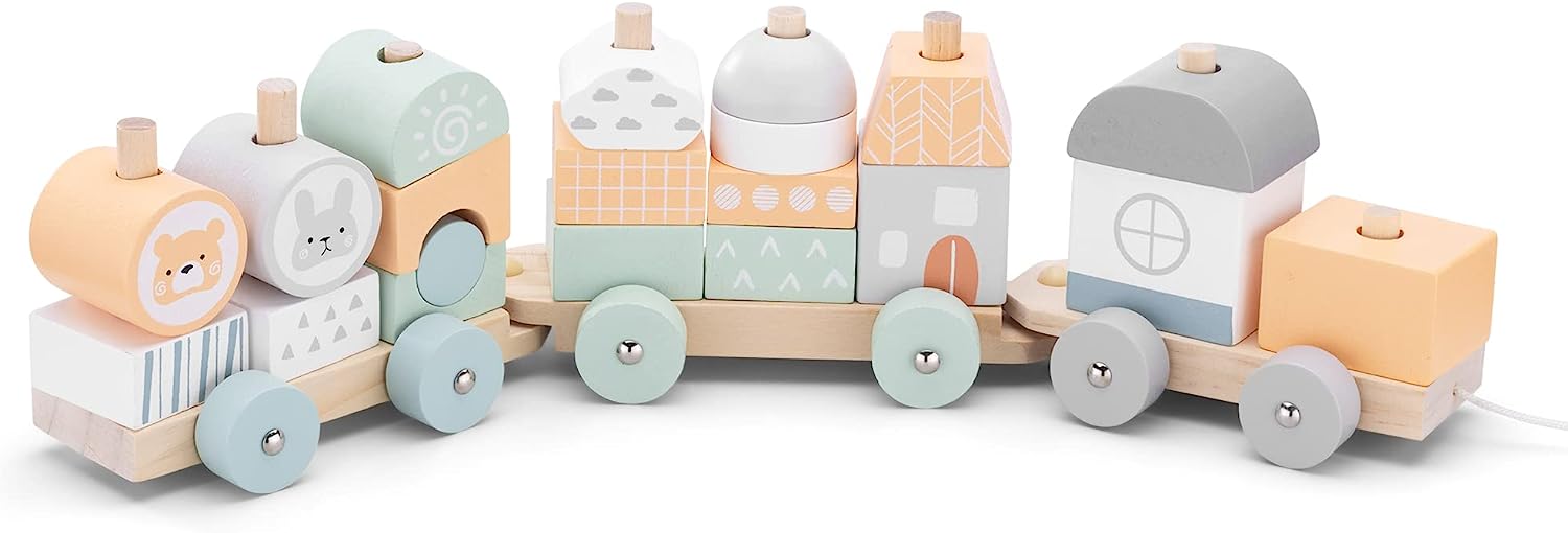 Navaris Ξύλινο Τρενάκι - Orange / Green - 52541.32