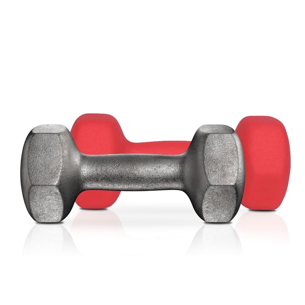 Songmics Σετ με 2 Βαράκια - 3 Kg - Red - SYL66RD