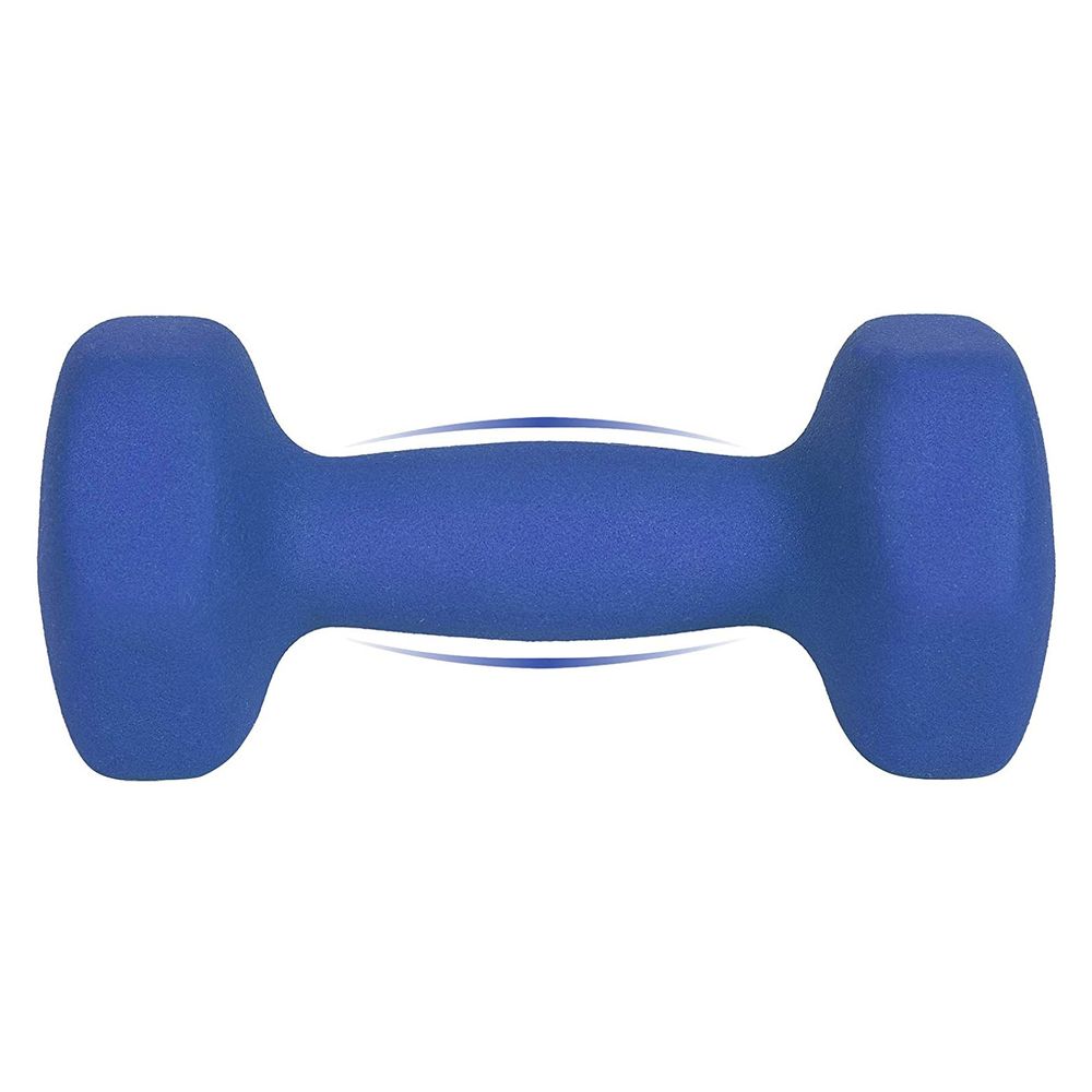 Songmics Σετ με 2 Βαράκια - 2.5 kg - Blue - SYL65BU
