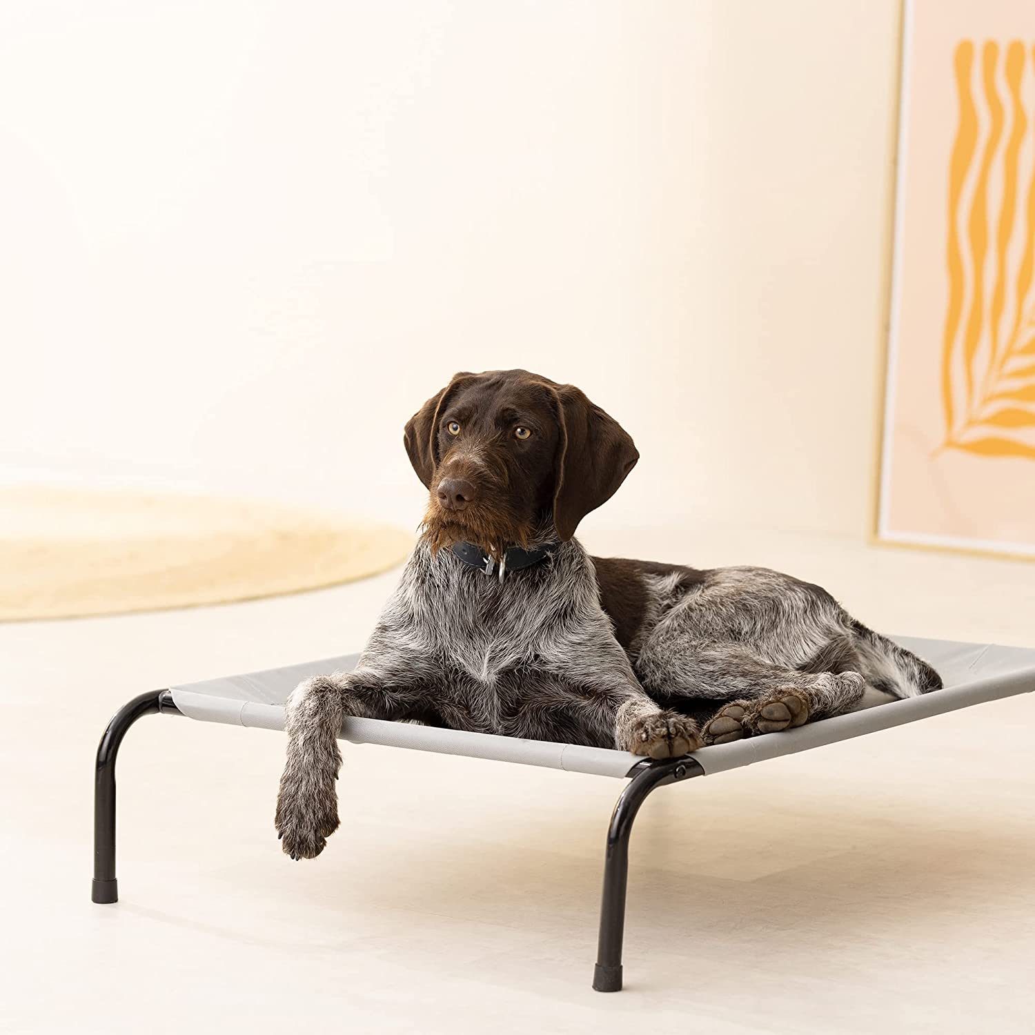 Navaris Ανυψωμένο Κρεβάτι για Μεσαίους ή Μεγάλους Σκύλους έως 25 κιλά - Light Grey - 56887.25.2