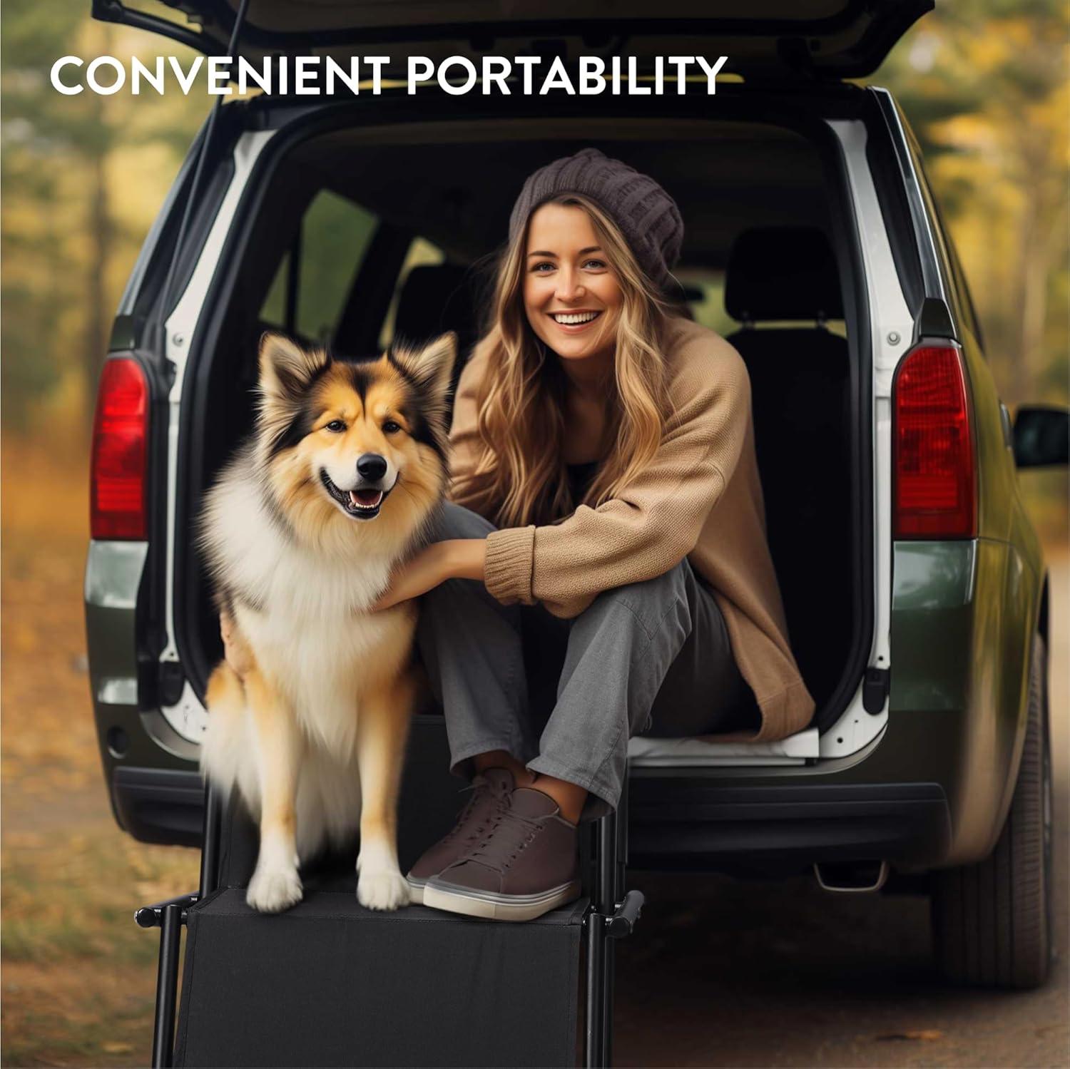 Navaris Πτυσσόμενα Σκαλοπάτια Αυτοκινήτου για Σκύλους με Τσάντα Μεταφοράς - Black