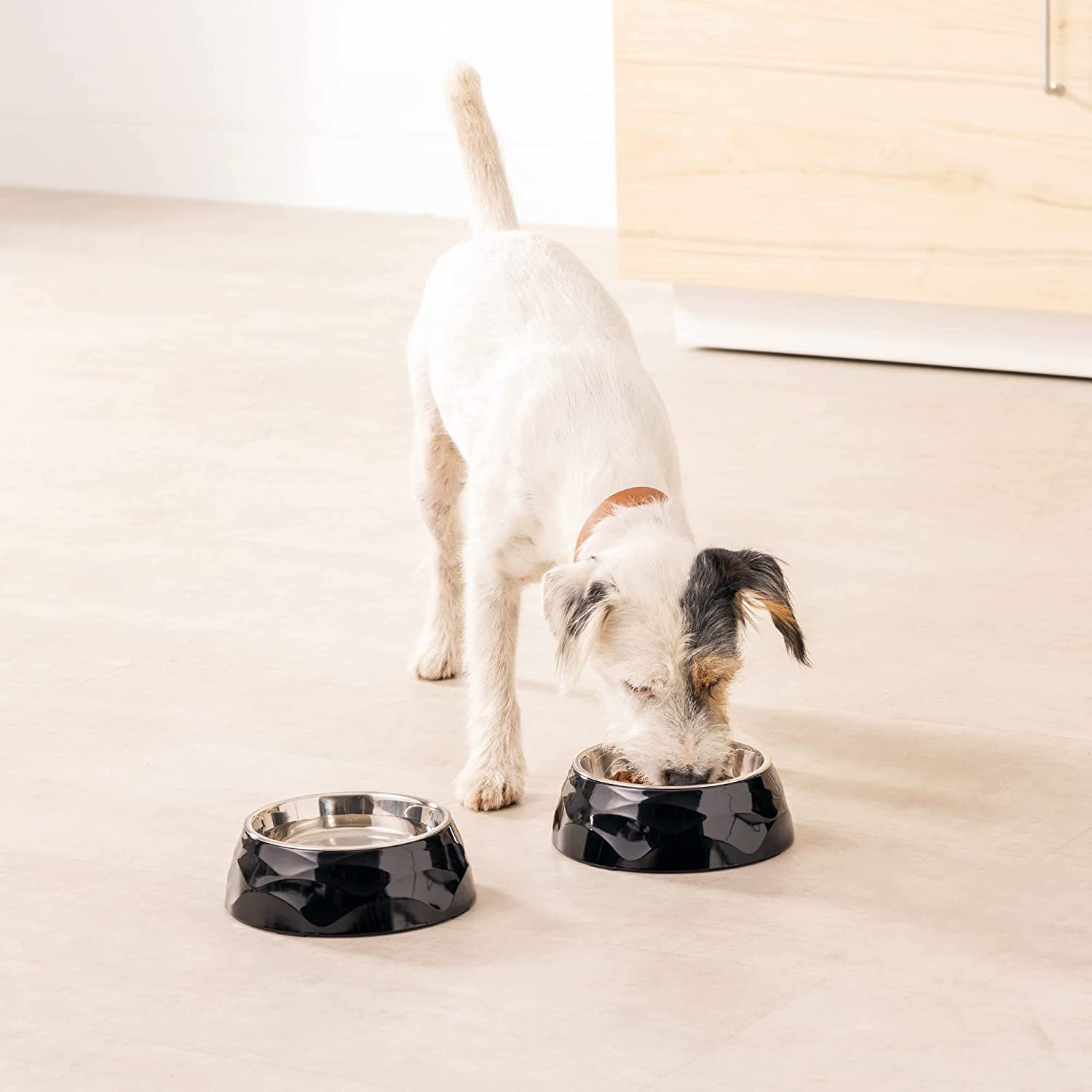 Navaris Σετ με 2 Ανοξείδωτα Αντιολισθητικά Μπολ Φαγητού και Νερού για Κατοικίδια - 350 ml - Black / Silver - 57479.01